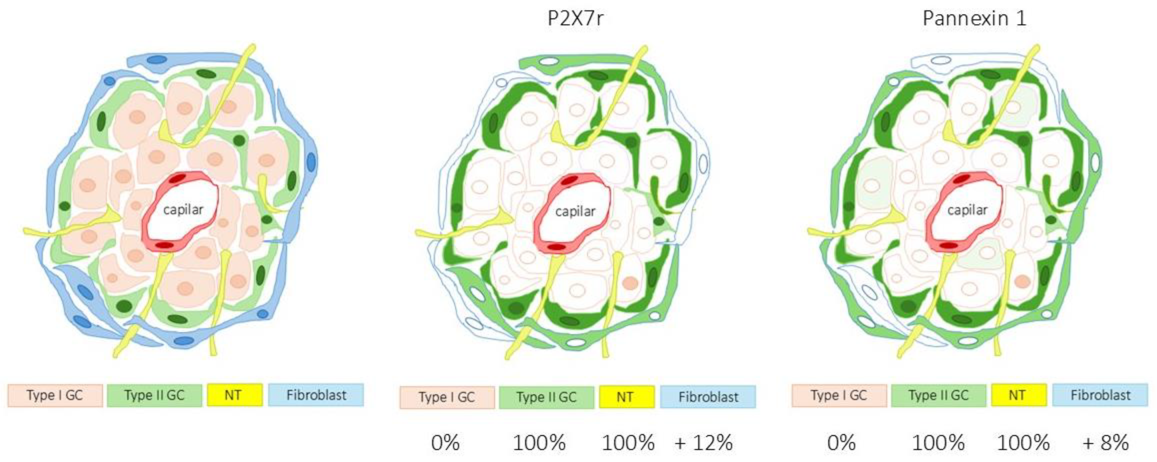 Preprints 177852 g007