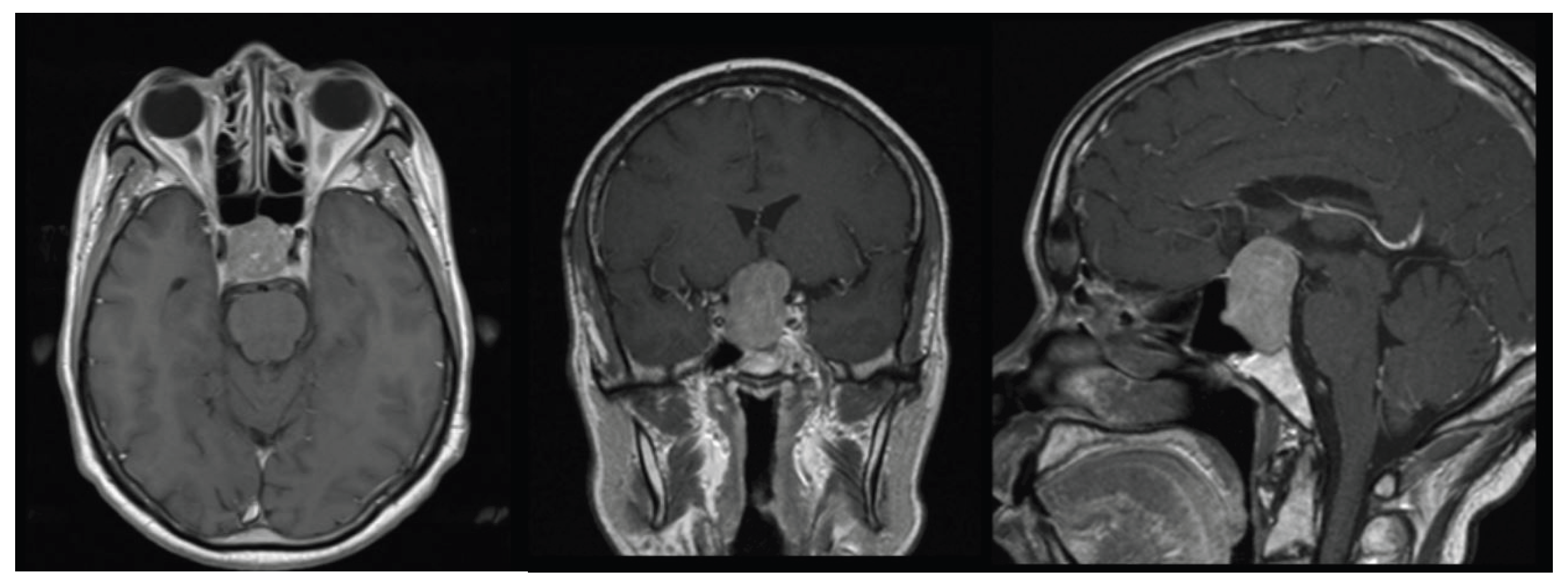 Preprints 185628 g001