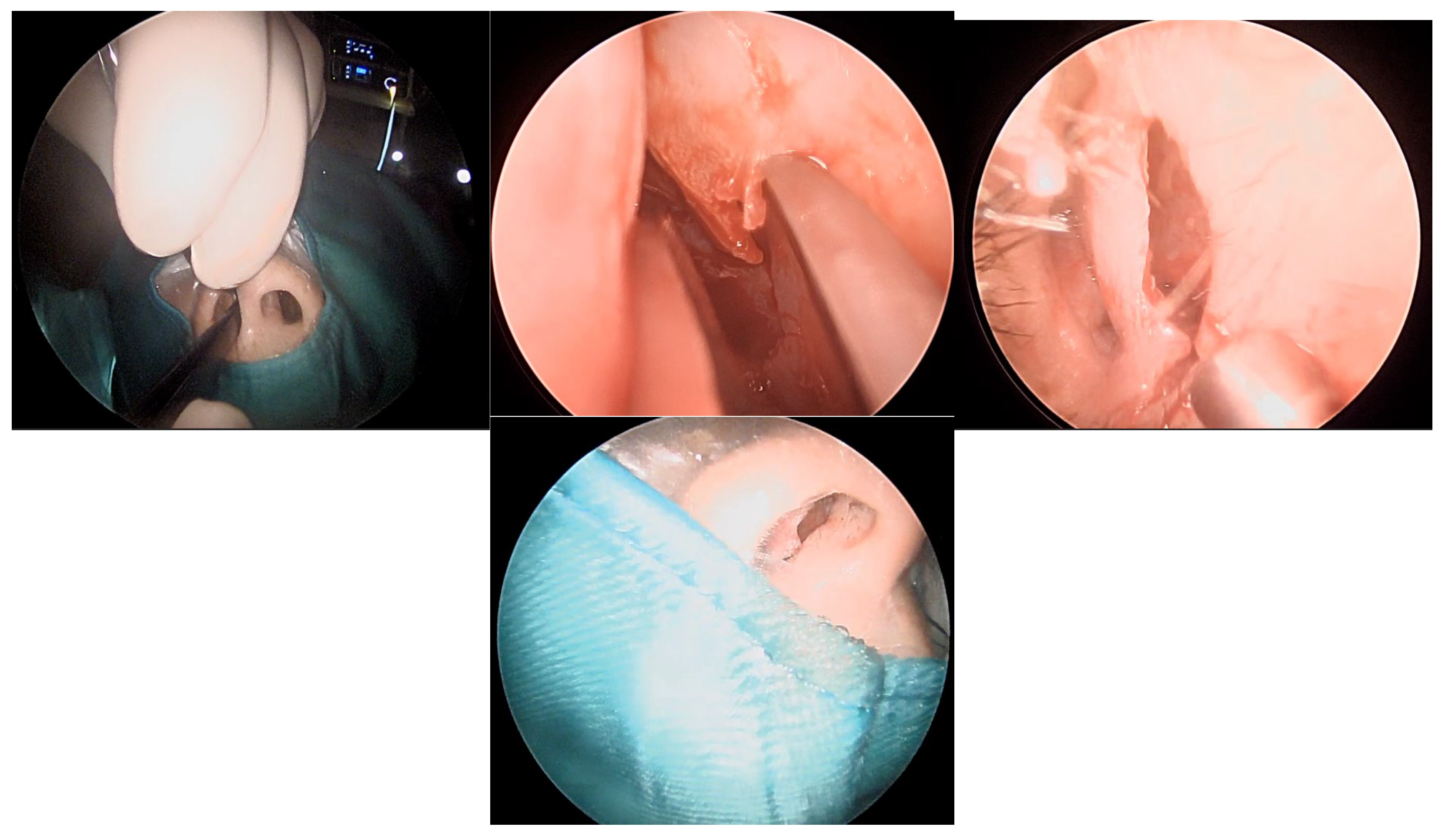 Preprints 185628 g002