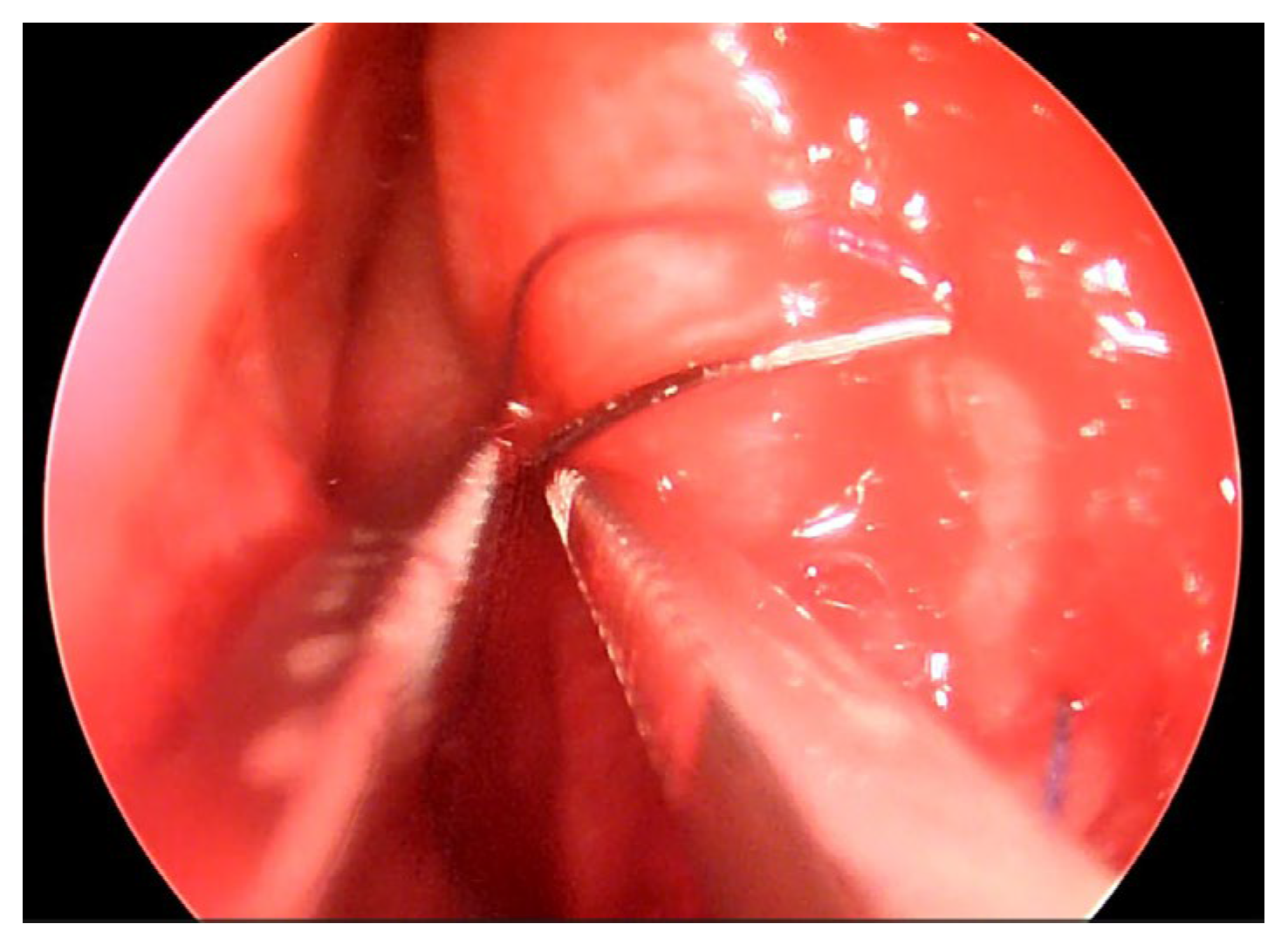 Preprints 185628 g003