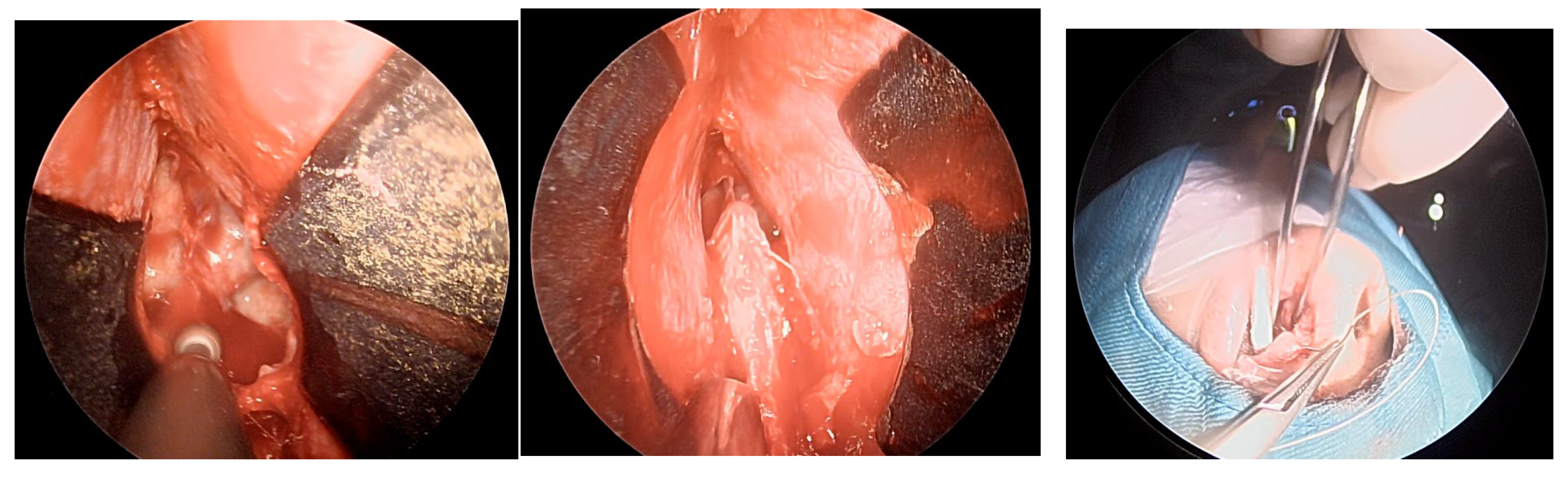 Preprints 185628 g004