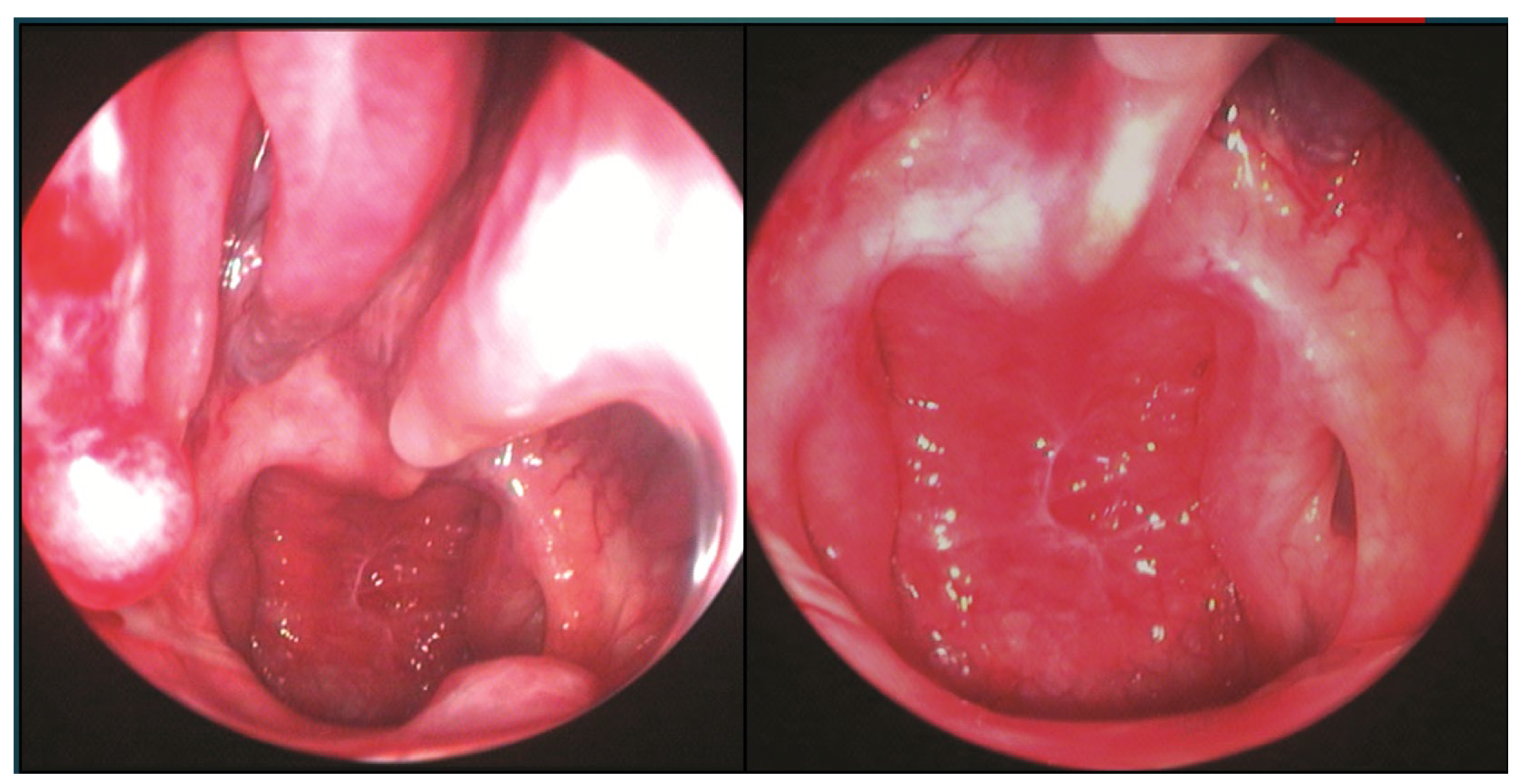 Preprints 185628 g006