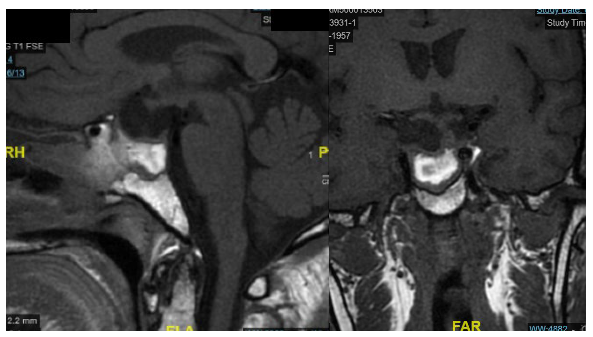 Preprints 185628 g007