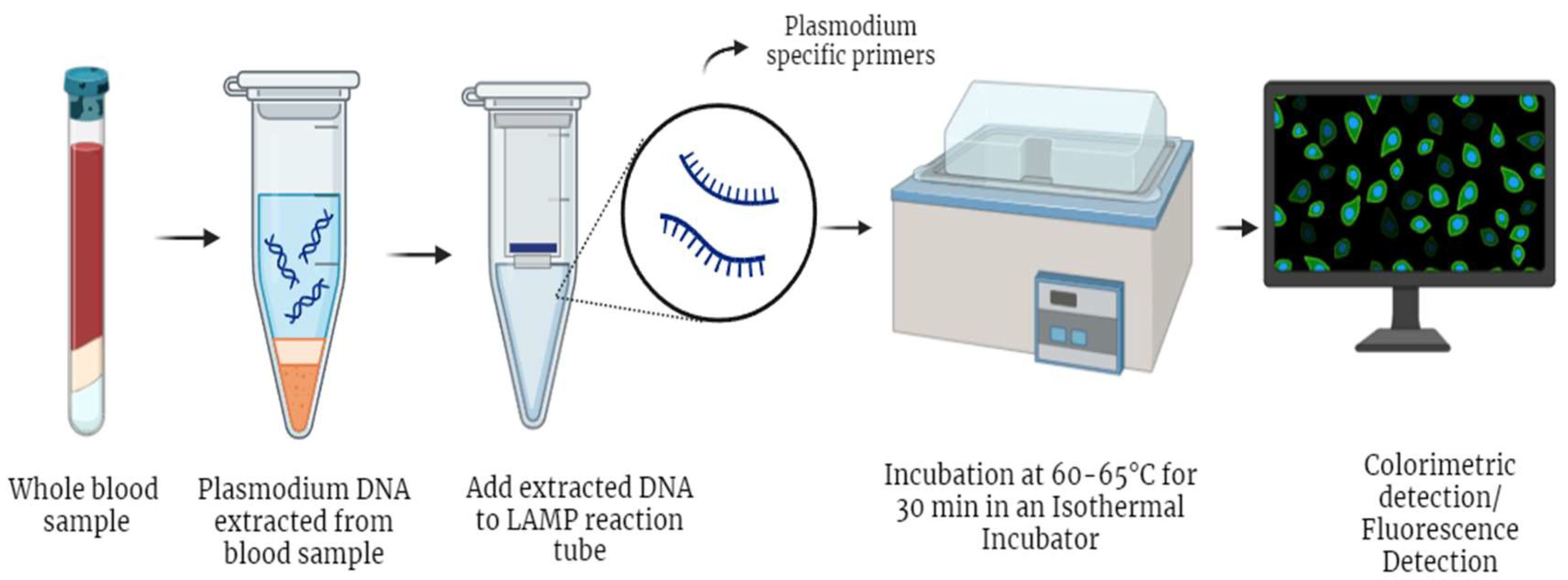 Preprints 139358 g005