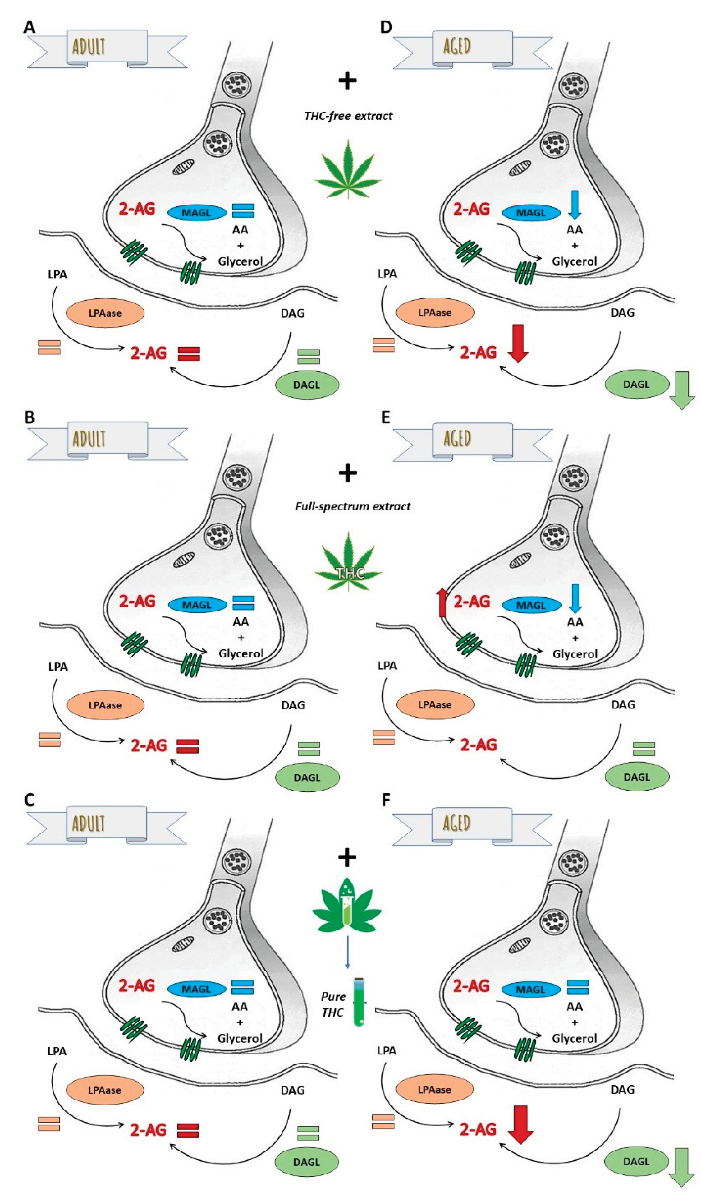 Preprints 195591 g007
