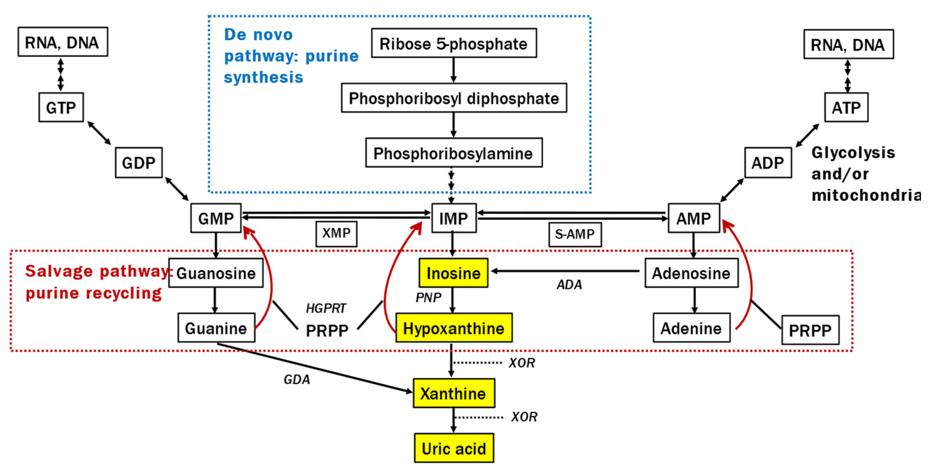 Preprints 89881 g001