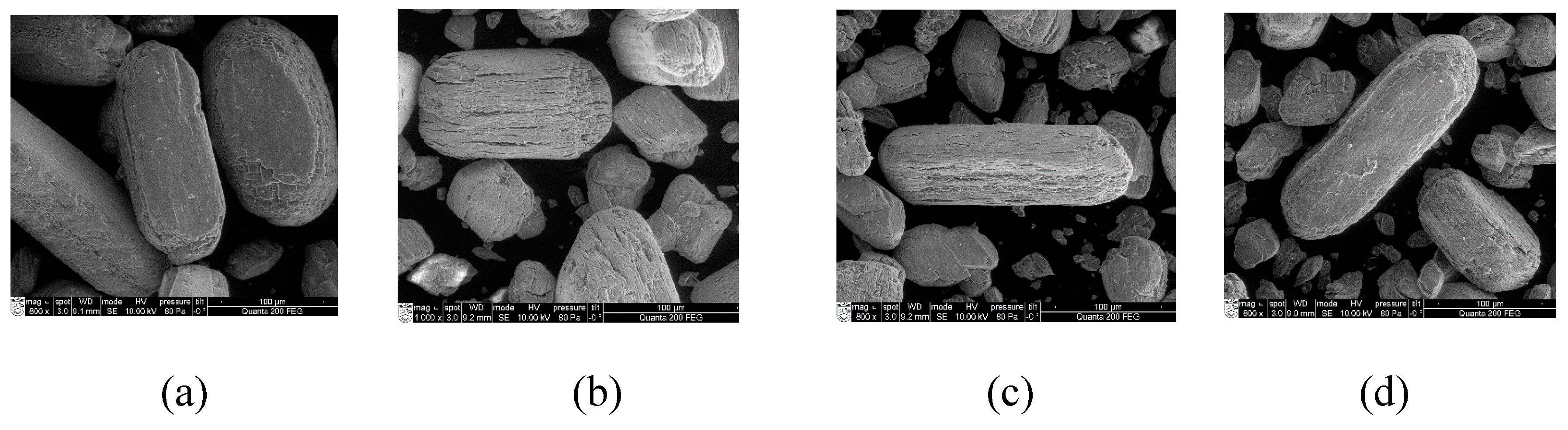 Preprints 82061 g003