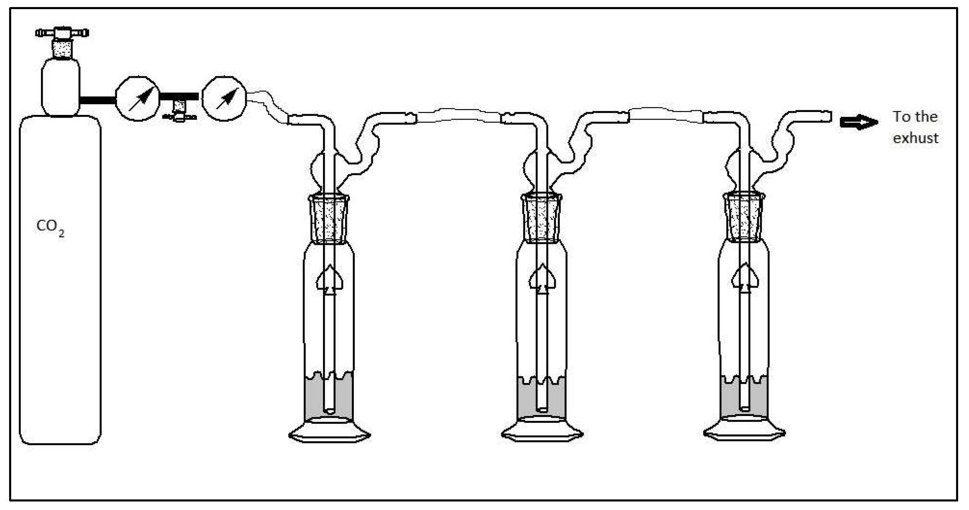 Preprints 155147 g003