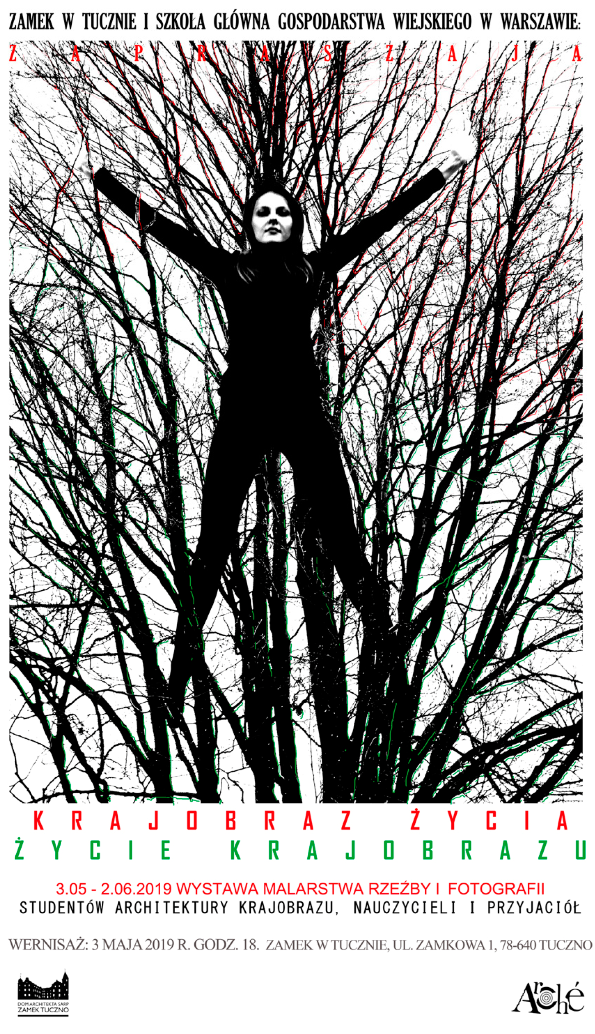 Preprints 143555 g001