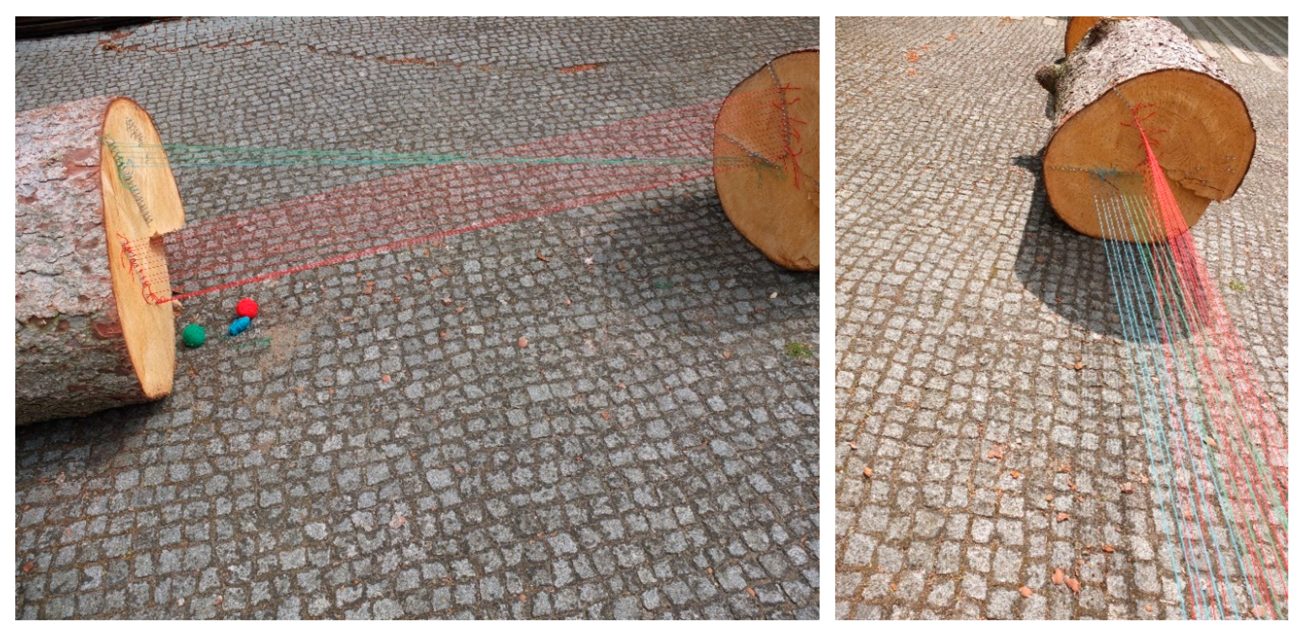 Preprints 143555 g011