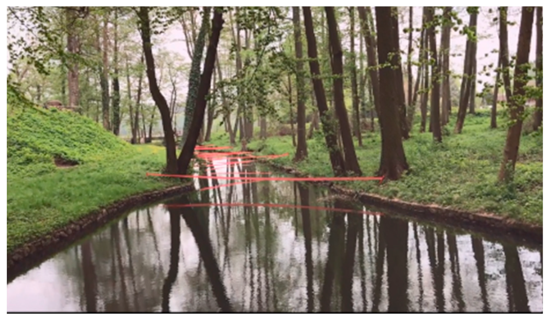 Preprints 143555 g012