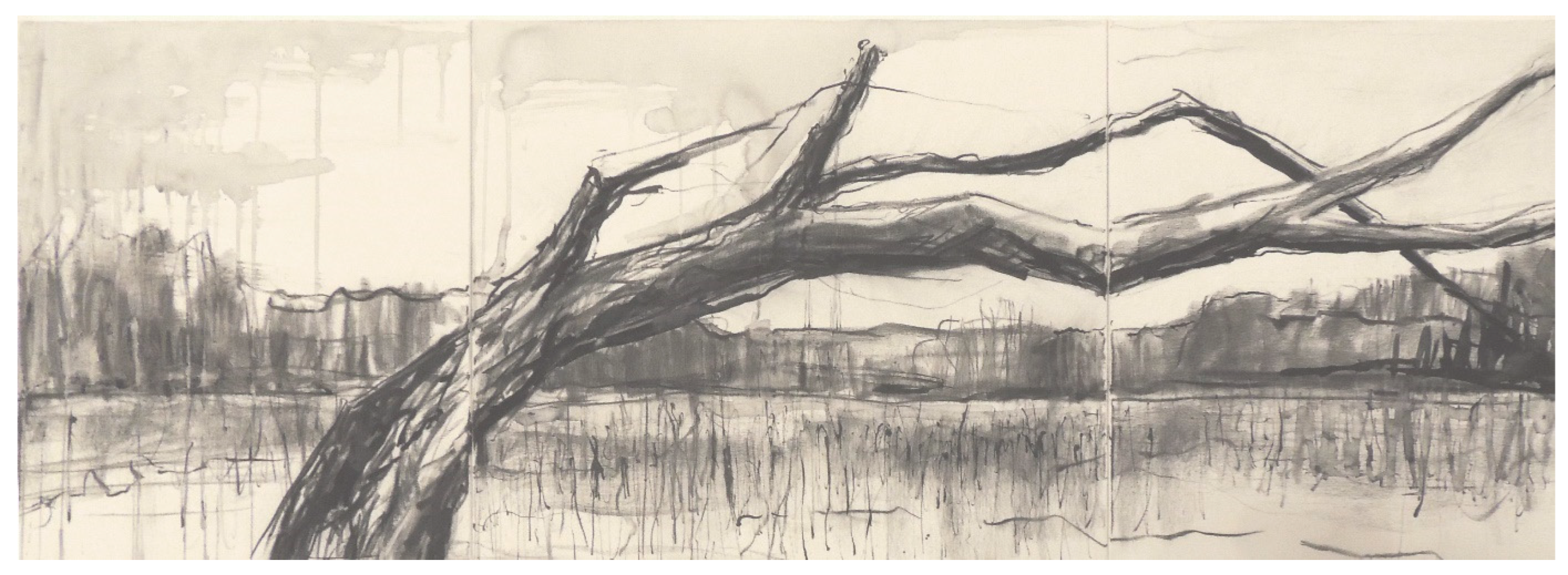 Preprints 143555 g013