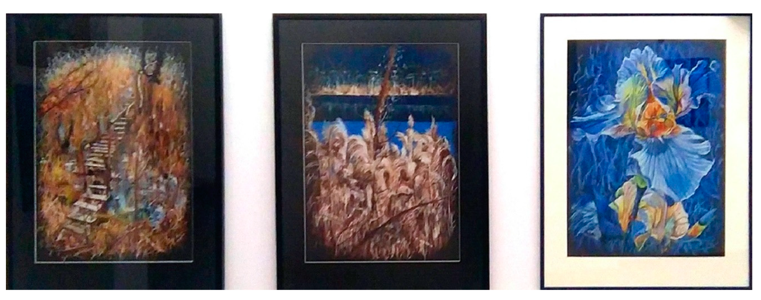 Preprints 143555 g014