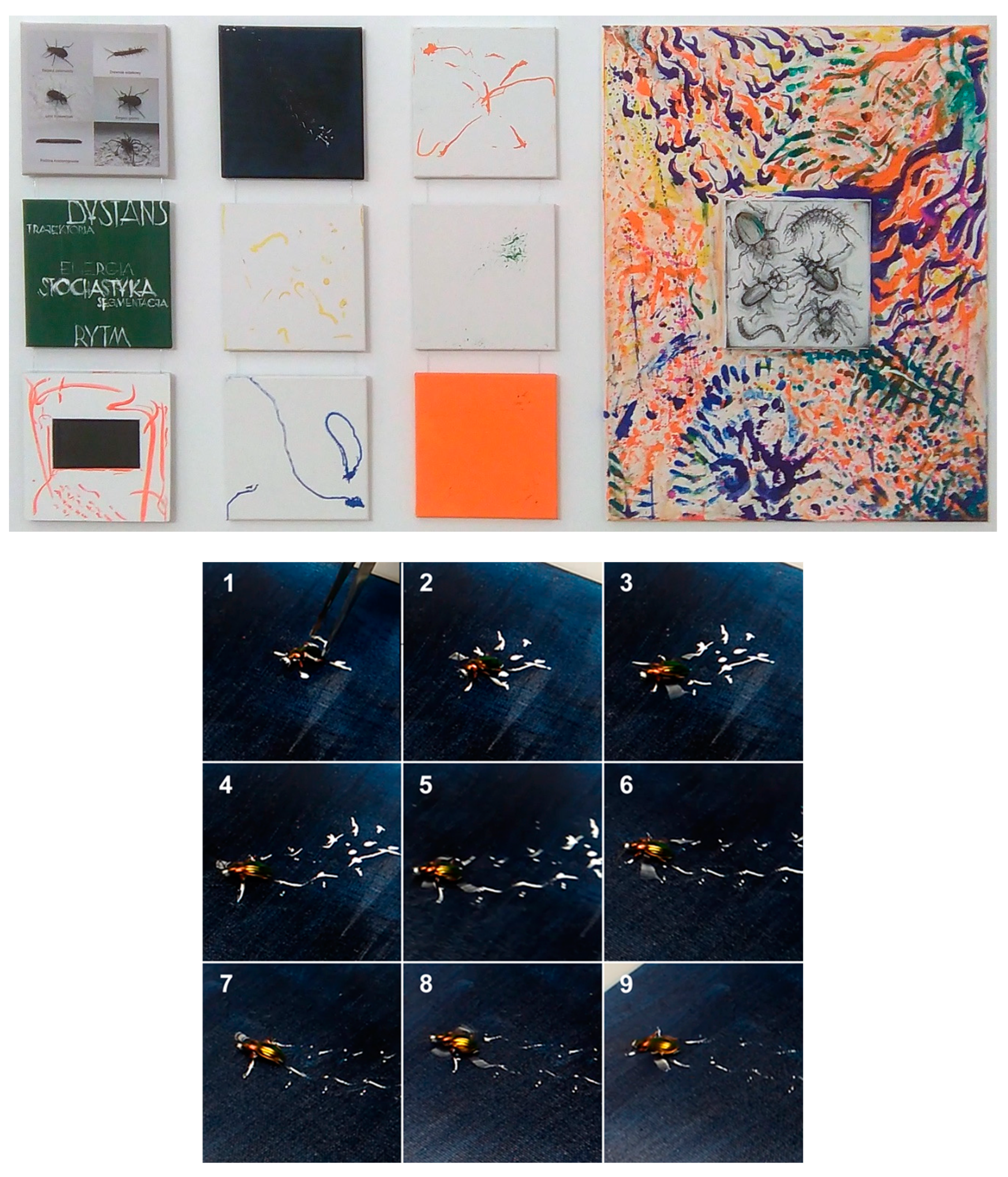 Preprints 143555 g015