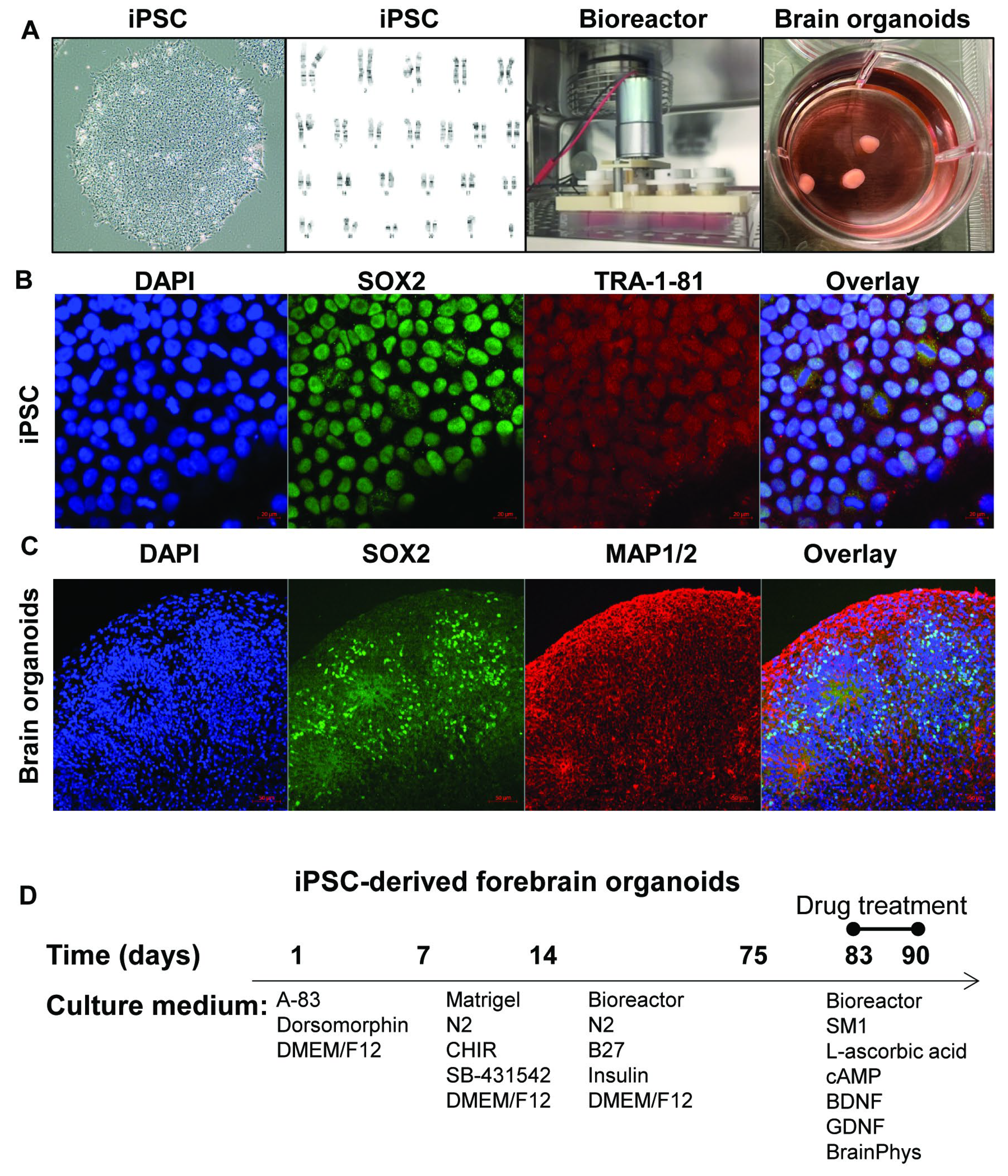 Preprints 200567 g001