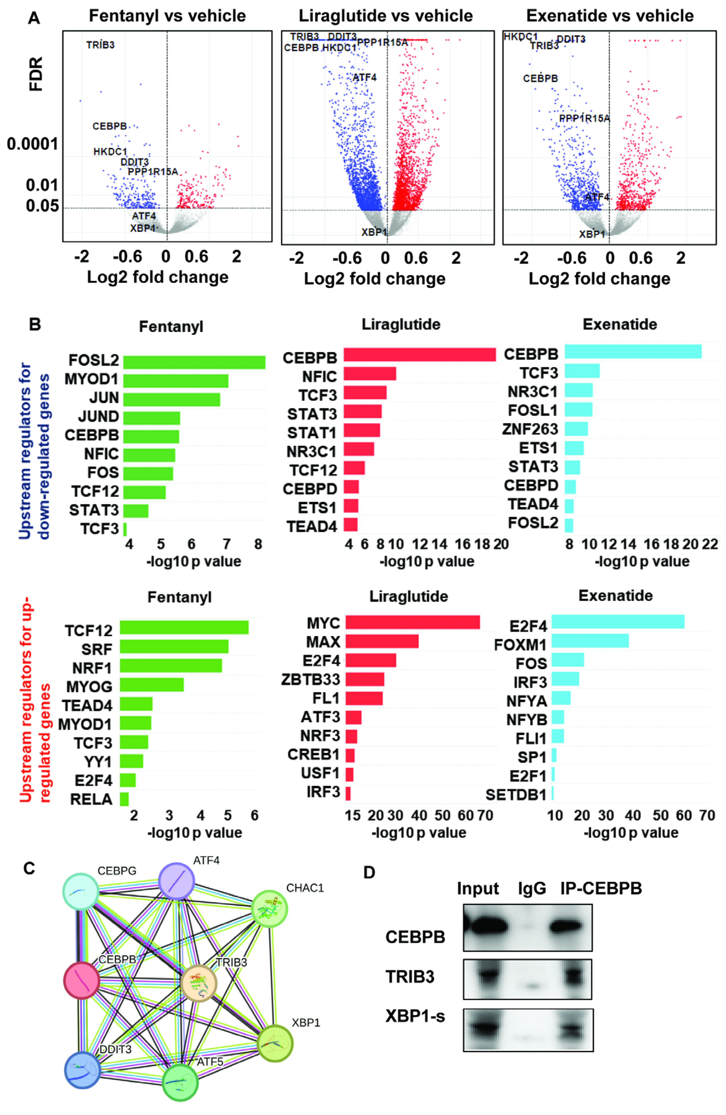 Preprints 200567 g002