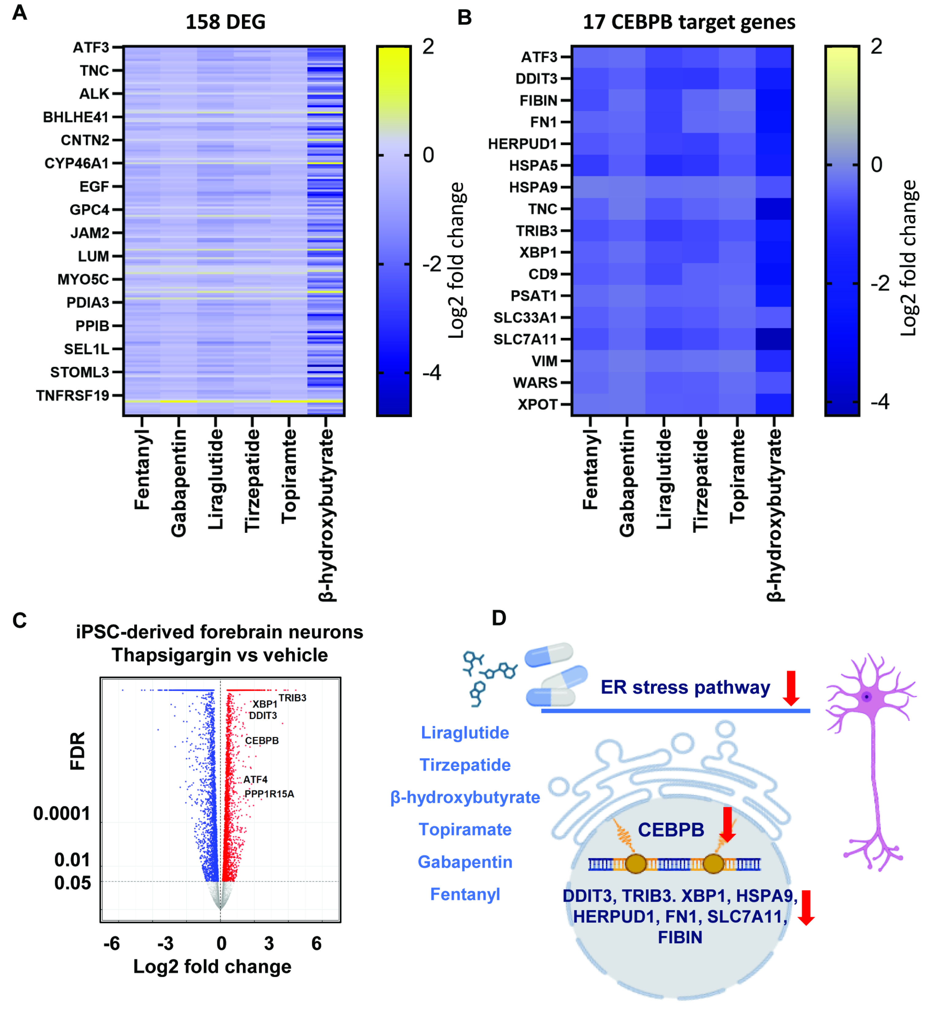 Preprints 200567 g004
