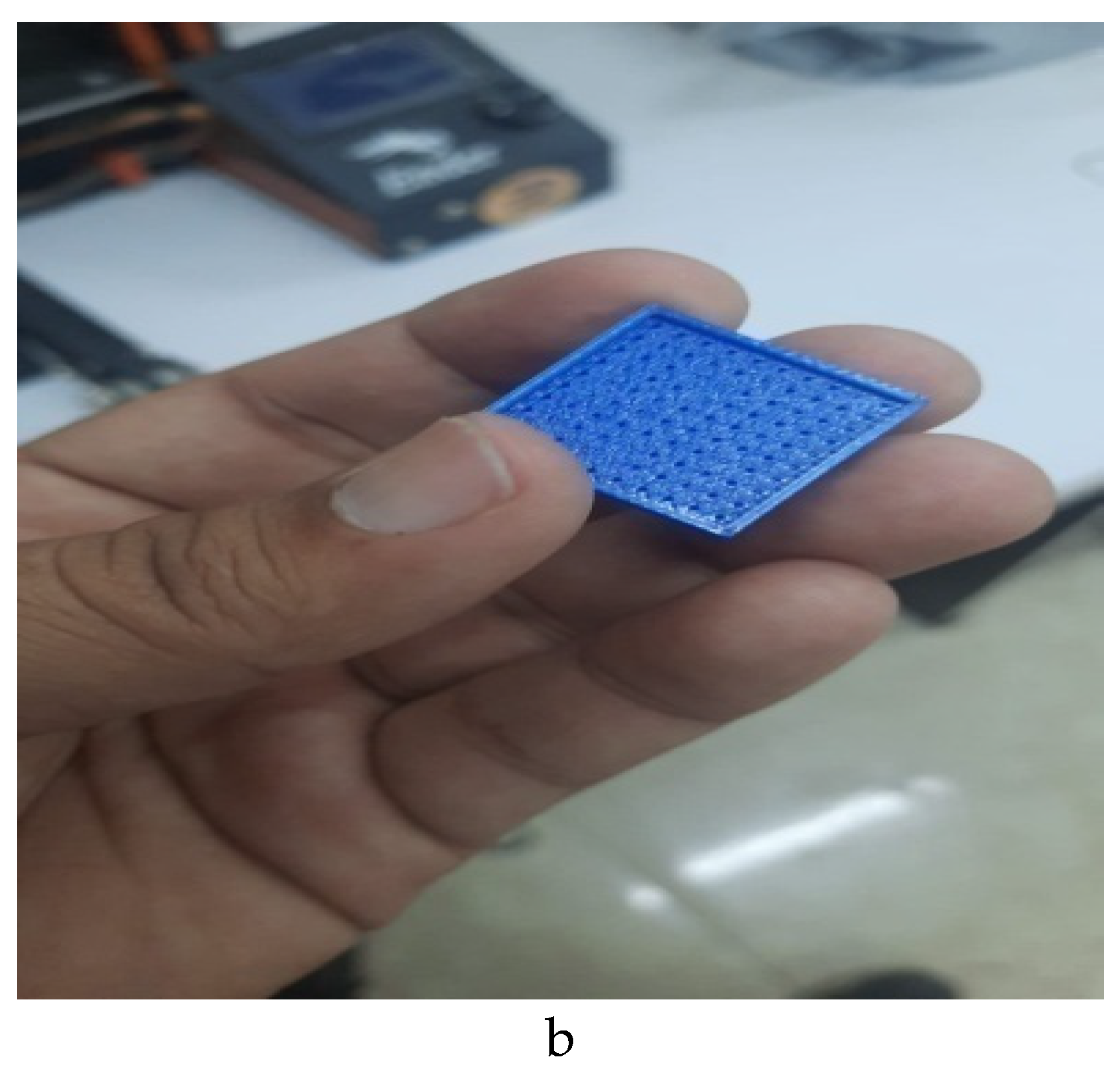 Preprints 208354 g002b
