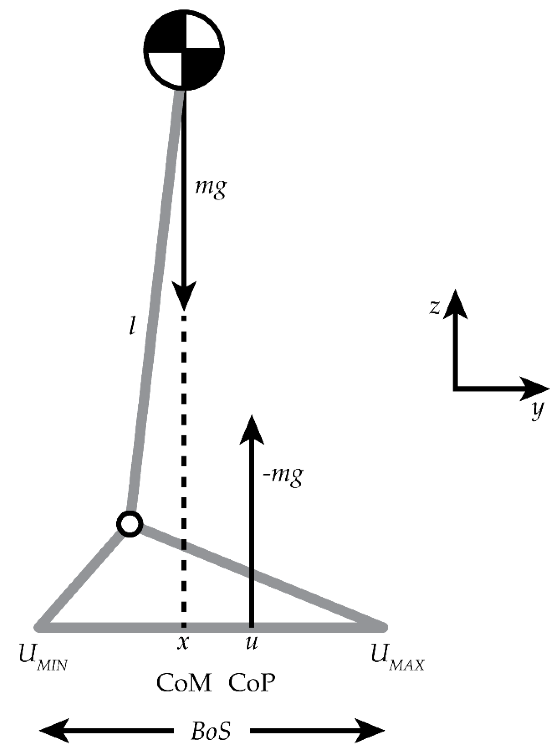 Preprints 160108 g002