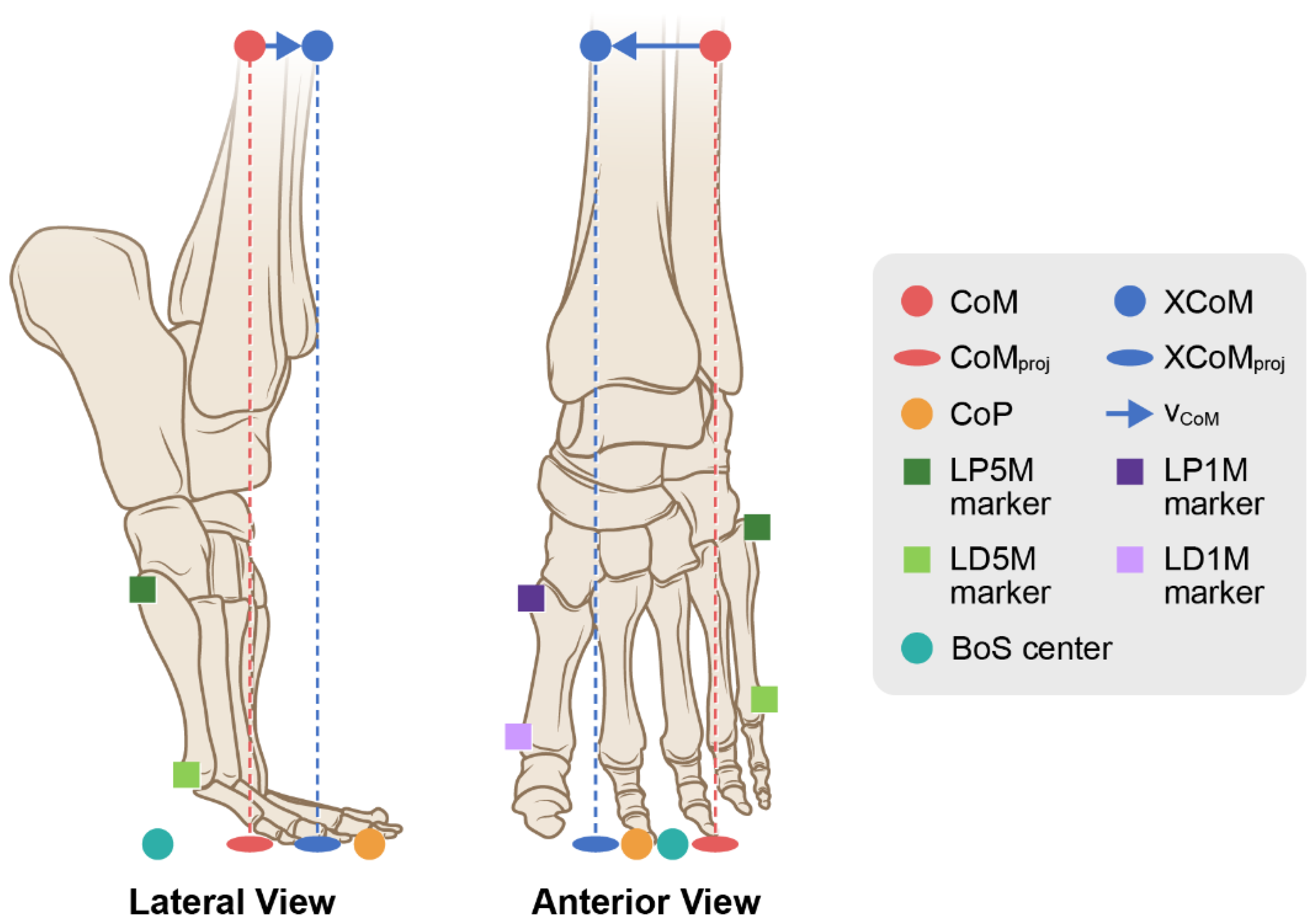 Preprints 160108 g006