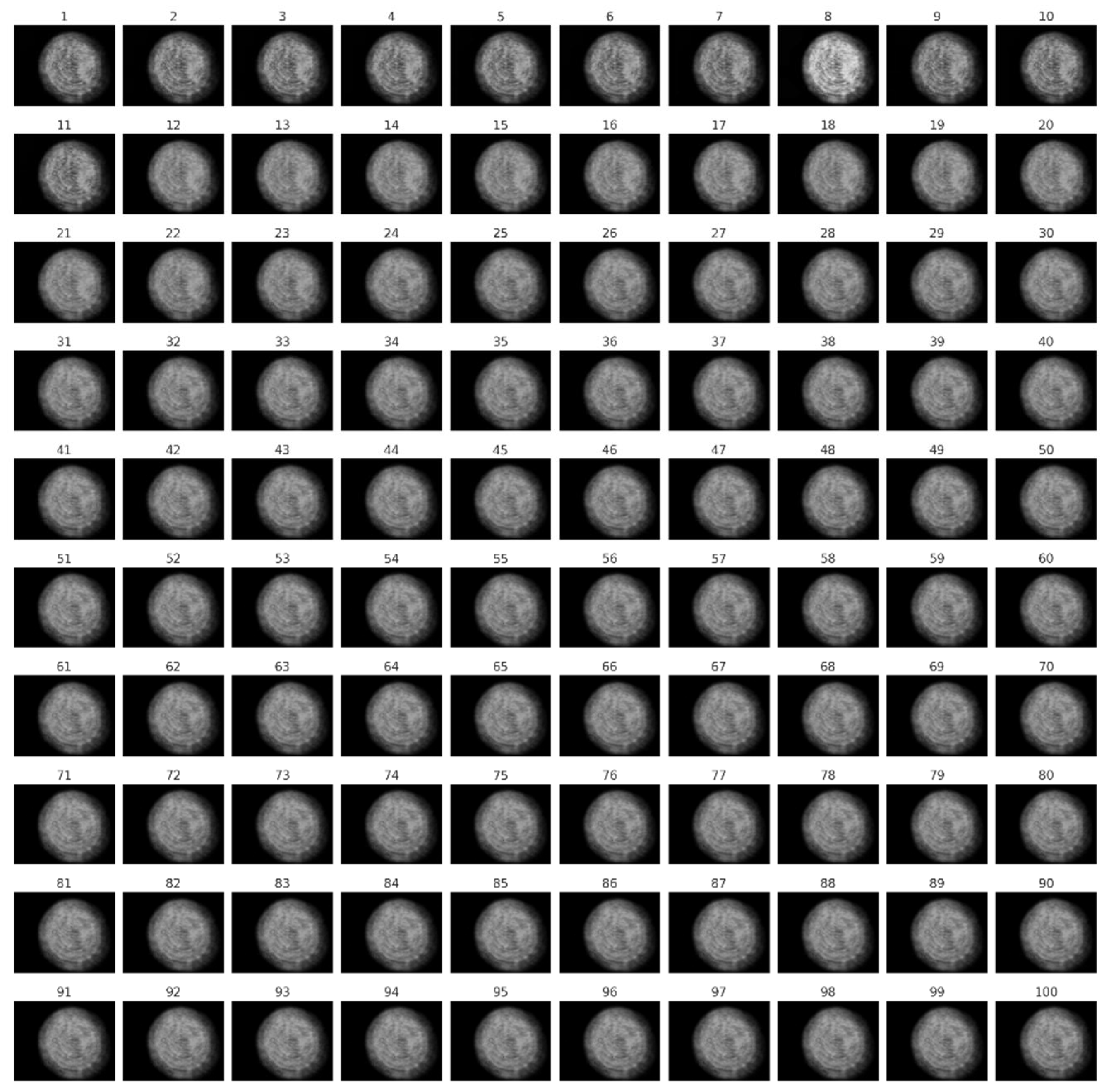 Preprints 158146 g002