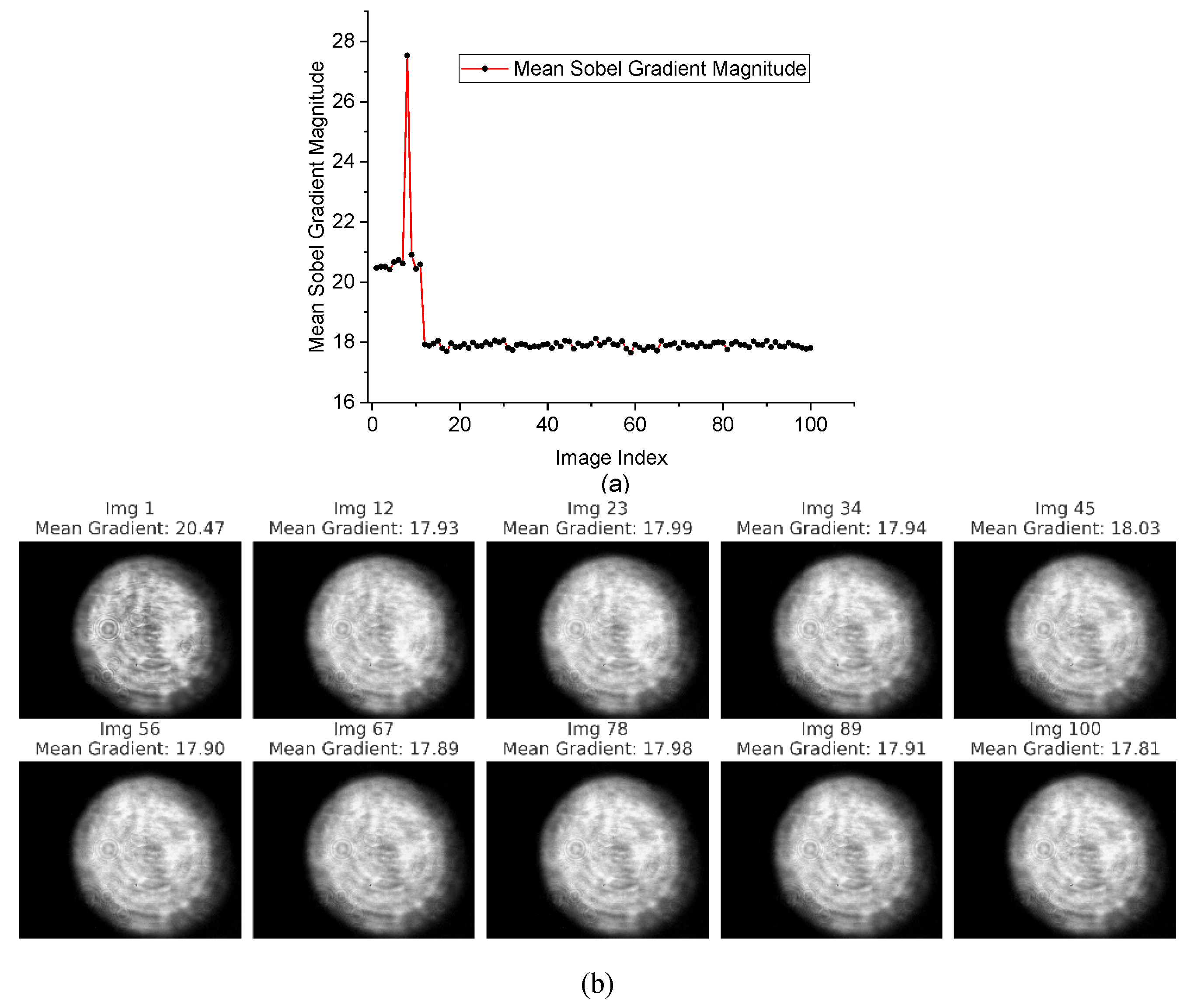Preprints 158146 g005