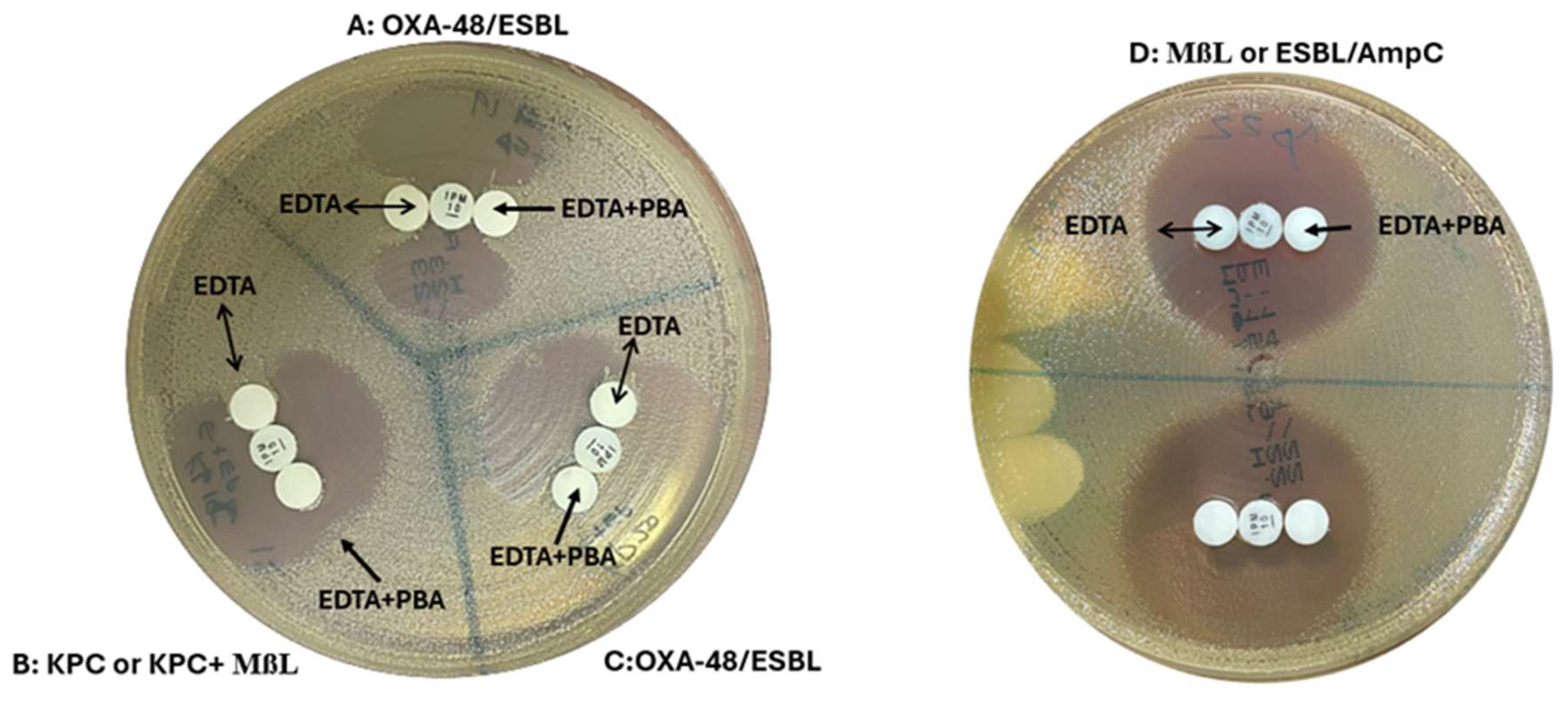 Preprints 146647 g003