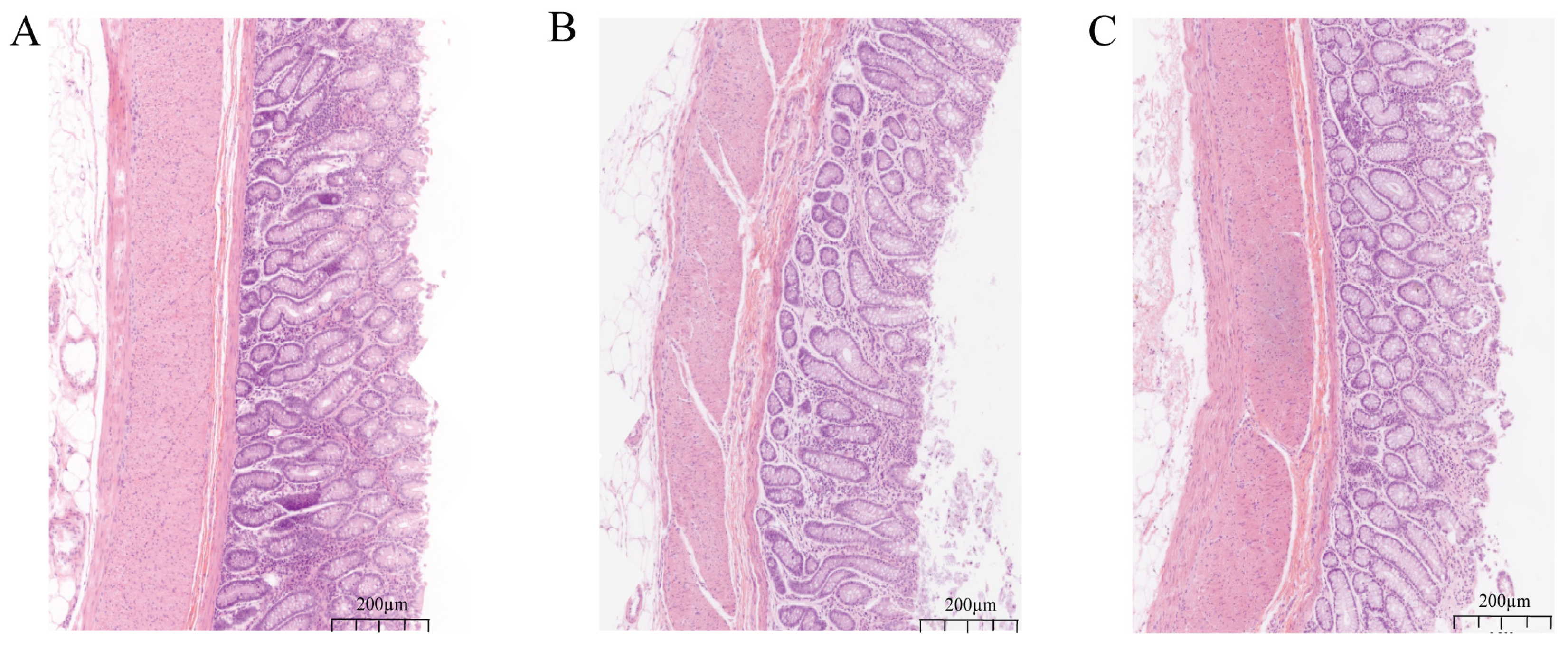 Preprints 201632 g001