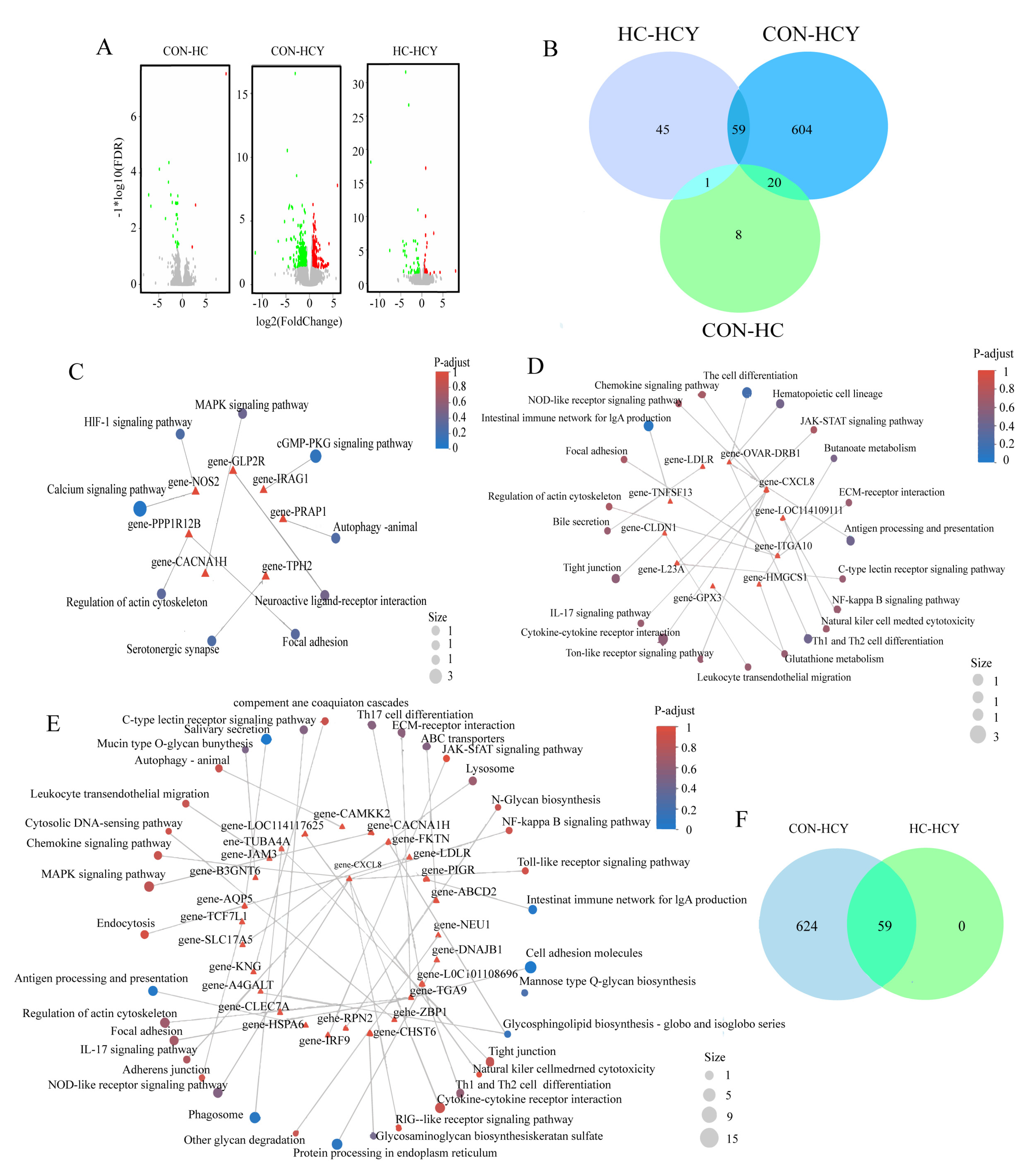 Preprints 201632 g004