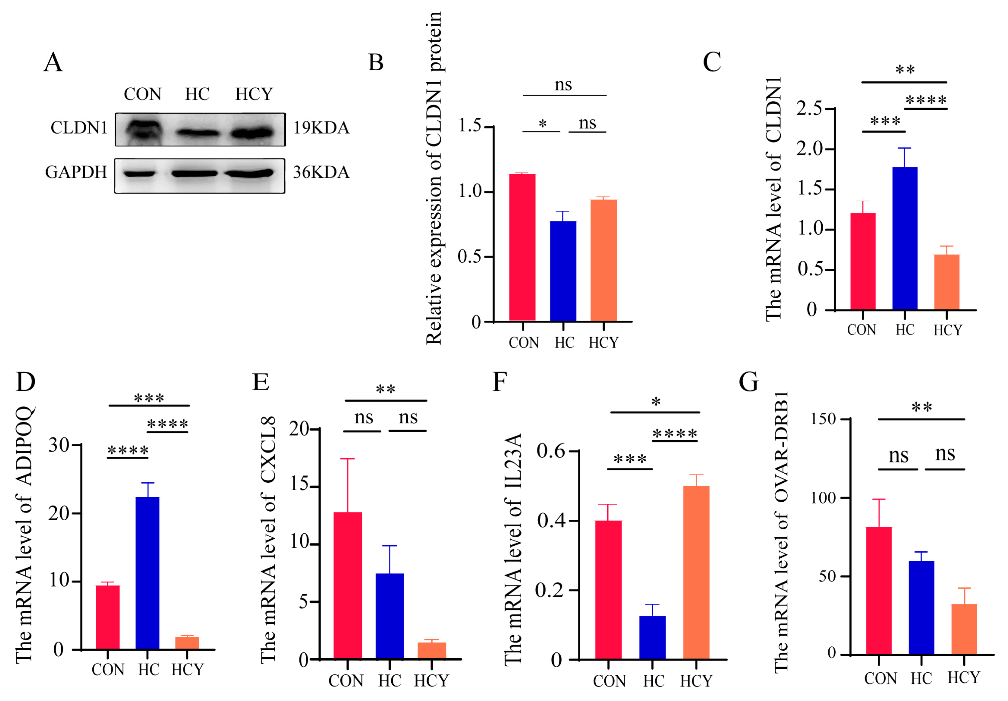Preprints 201632 g005