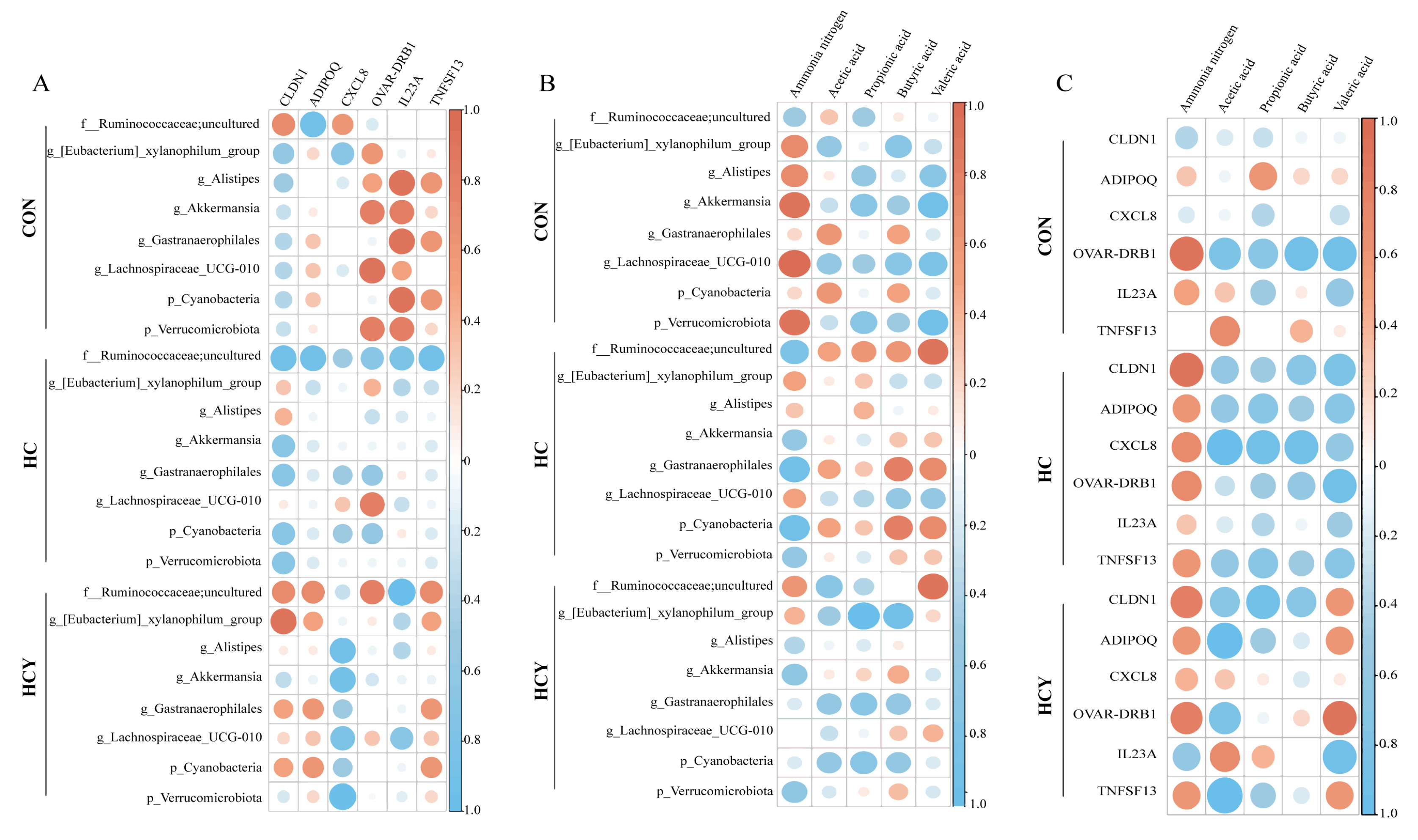 Preprints 201632 g006