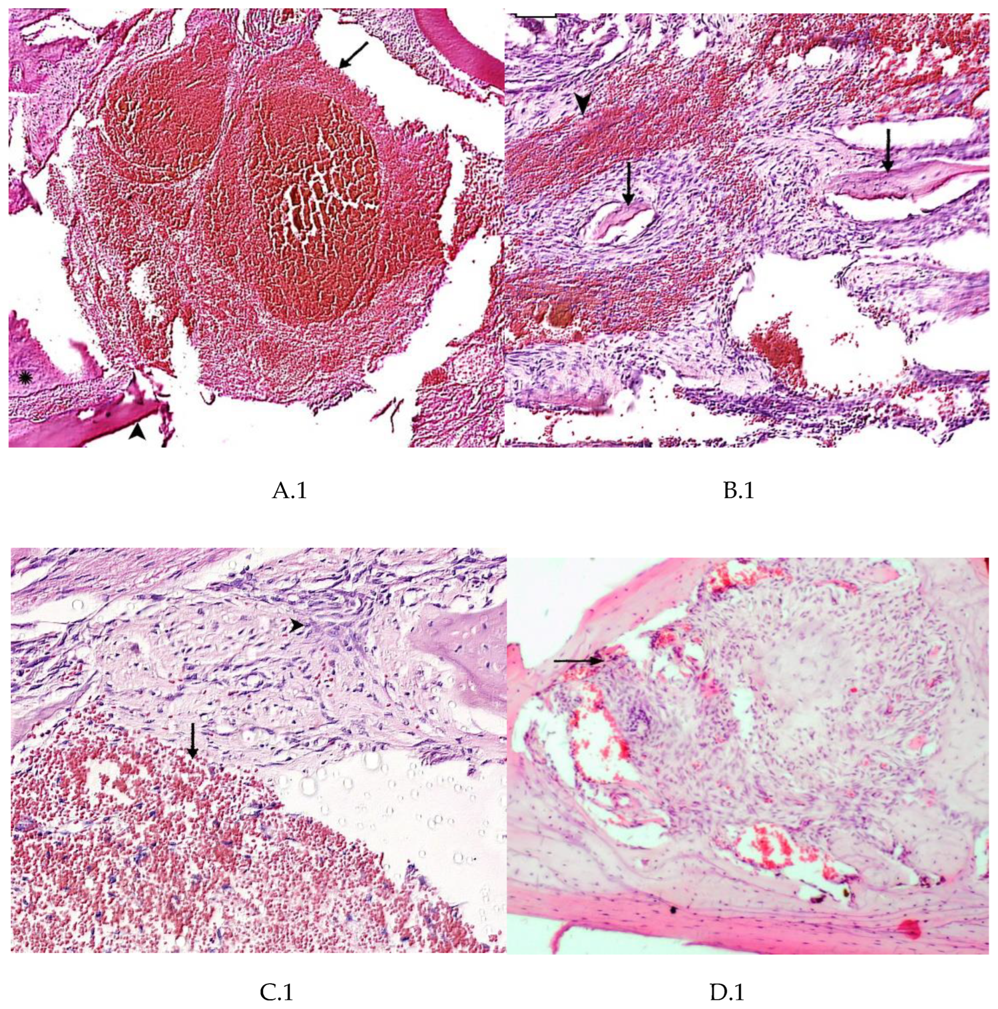 Preprints 82262 g001