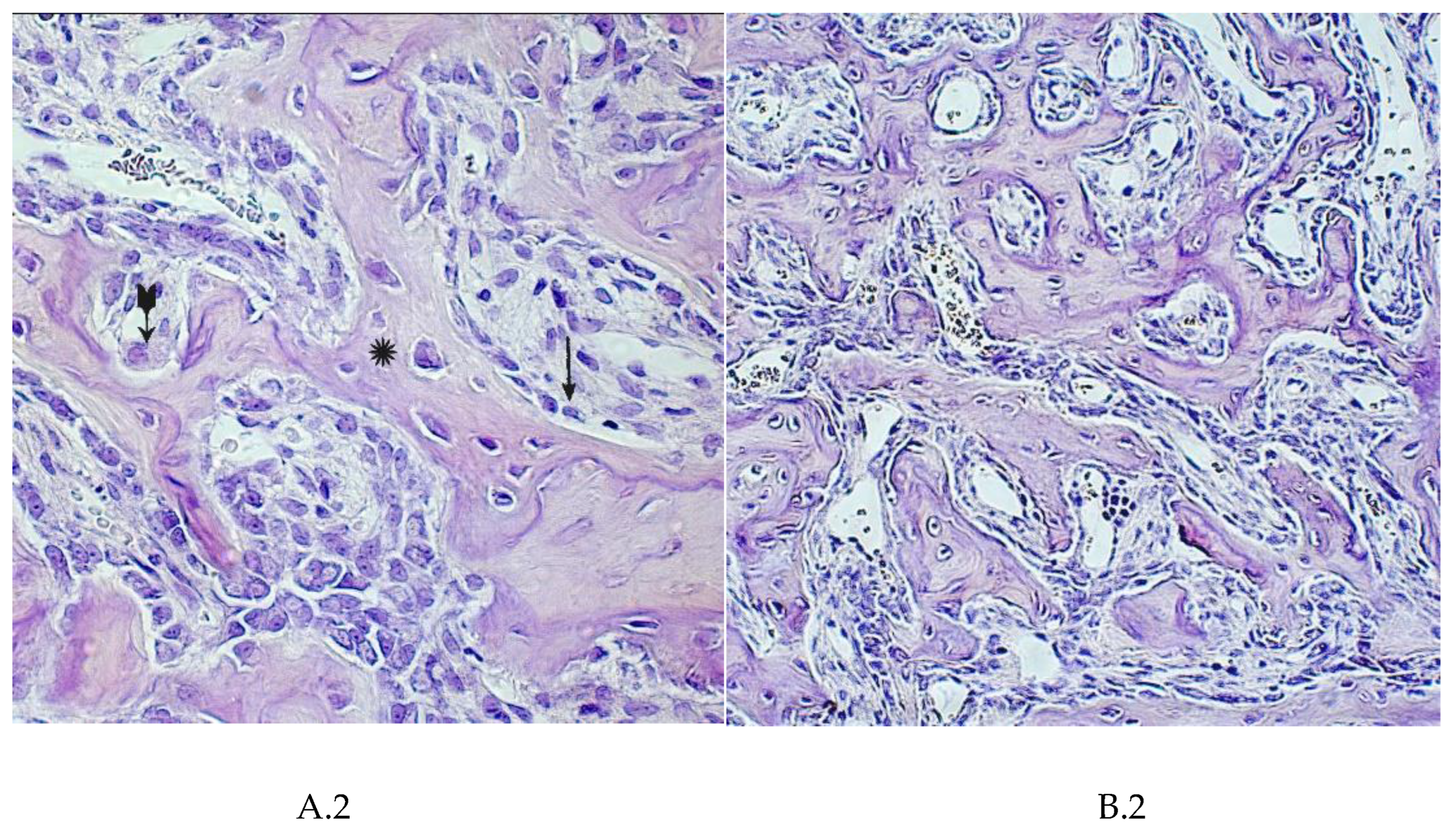 Preprints 82262 g002