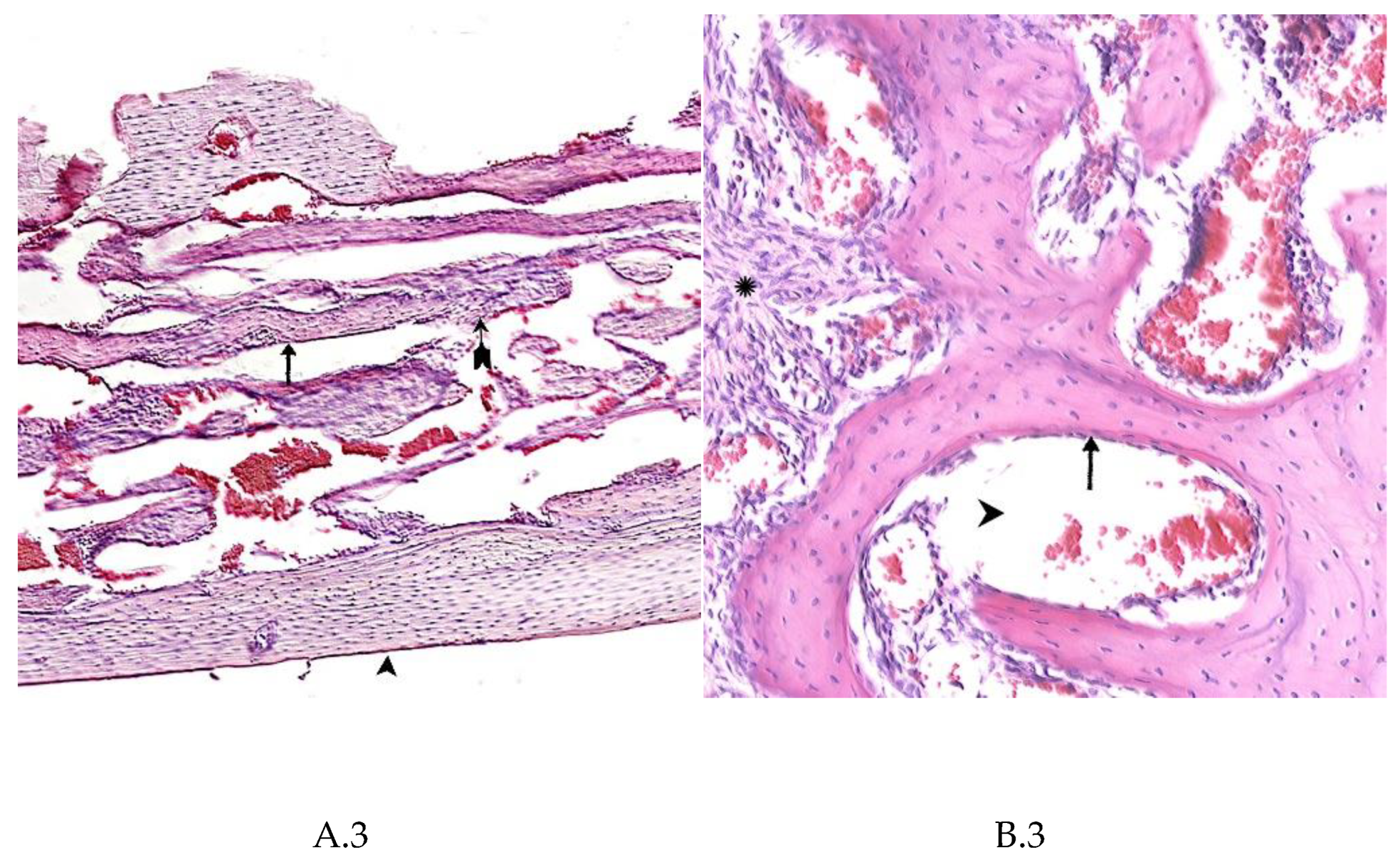 Preprints 82262 g003