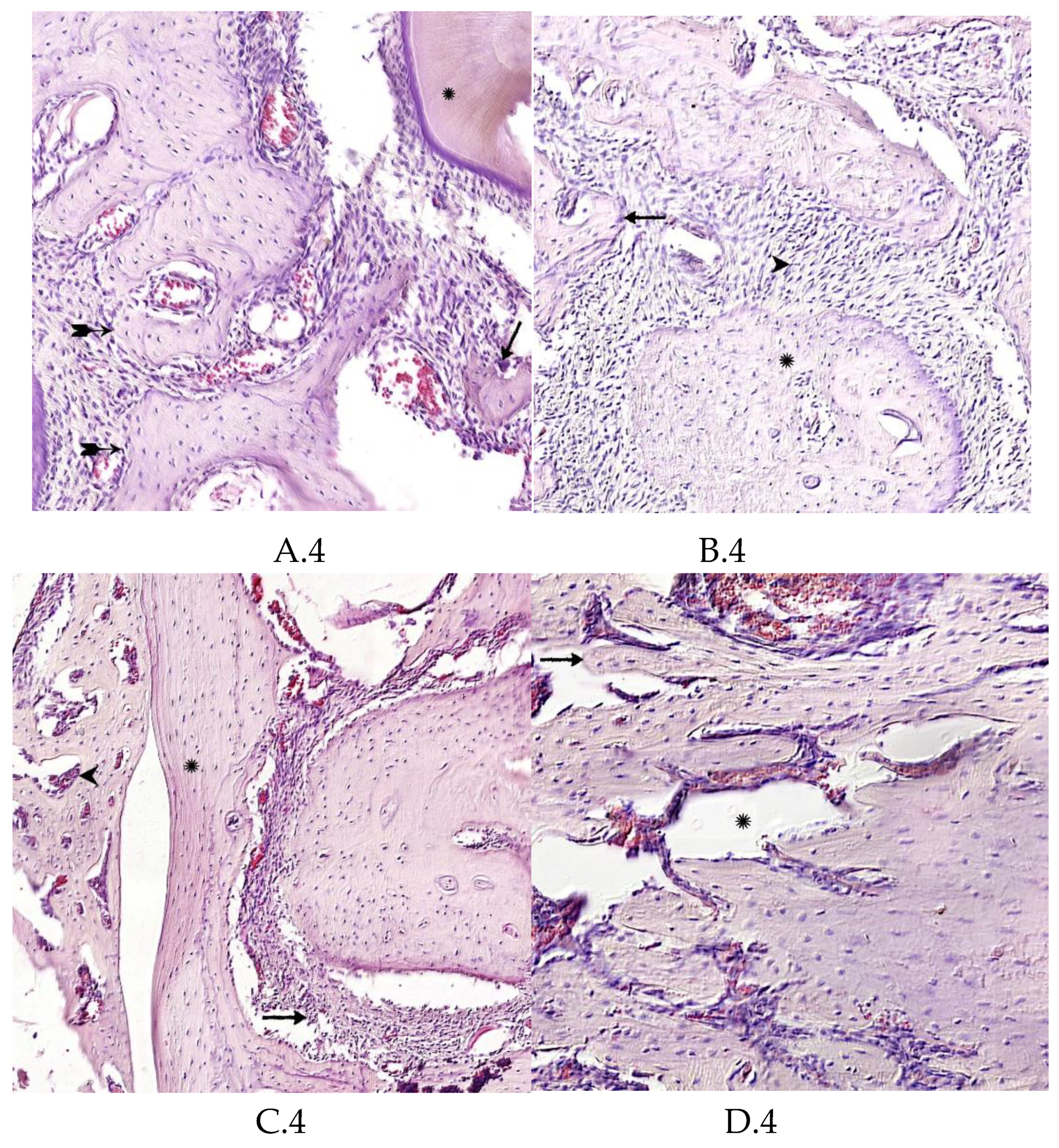 Preprints 82262 g004