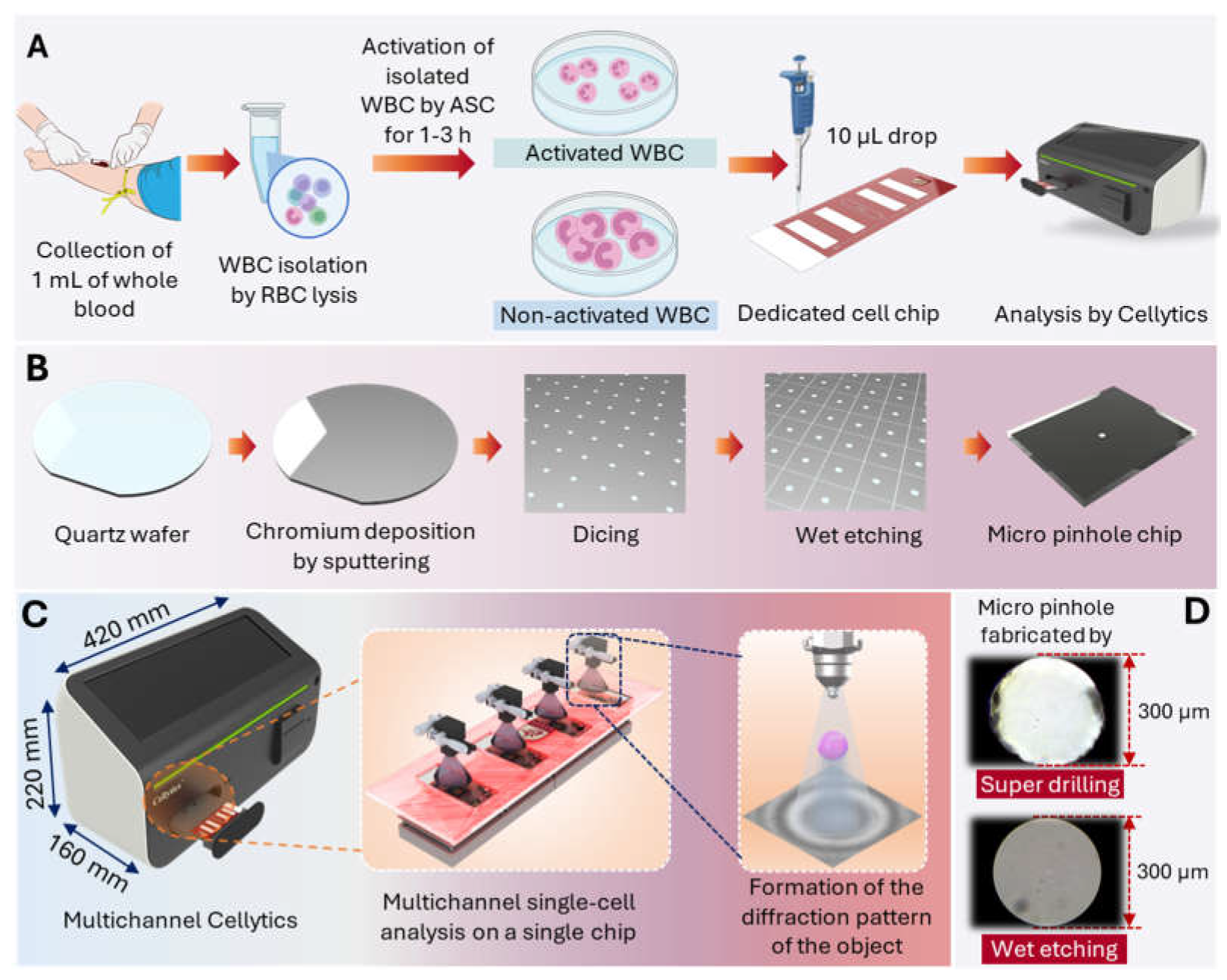 Preprints 144735 g001