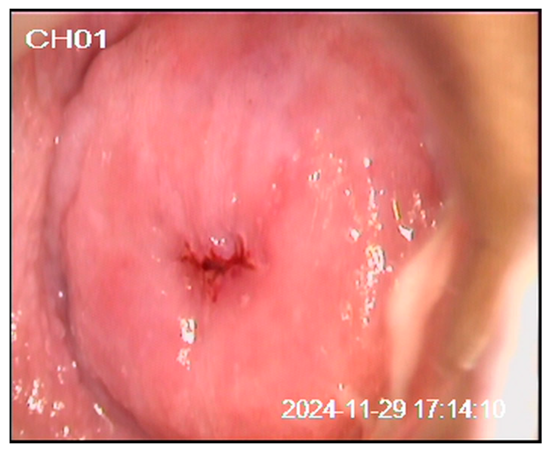 Preprints 194291 g002