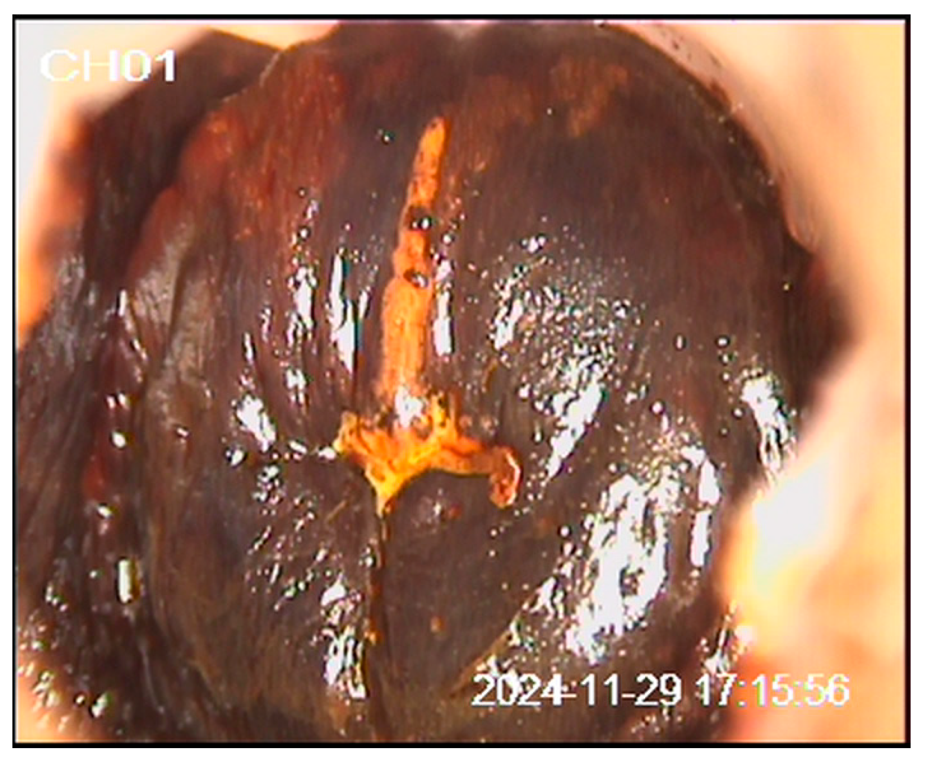 Preprints 194291 g003