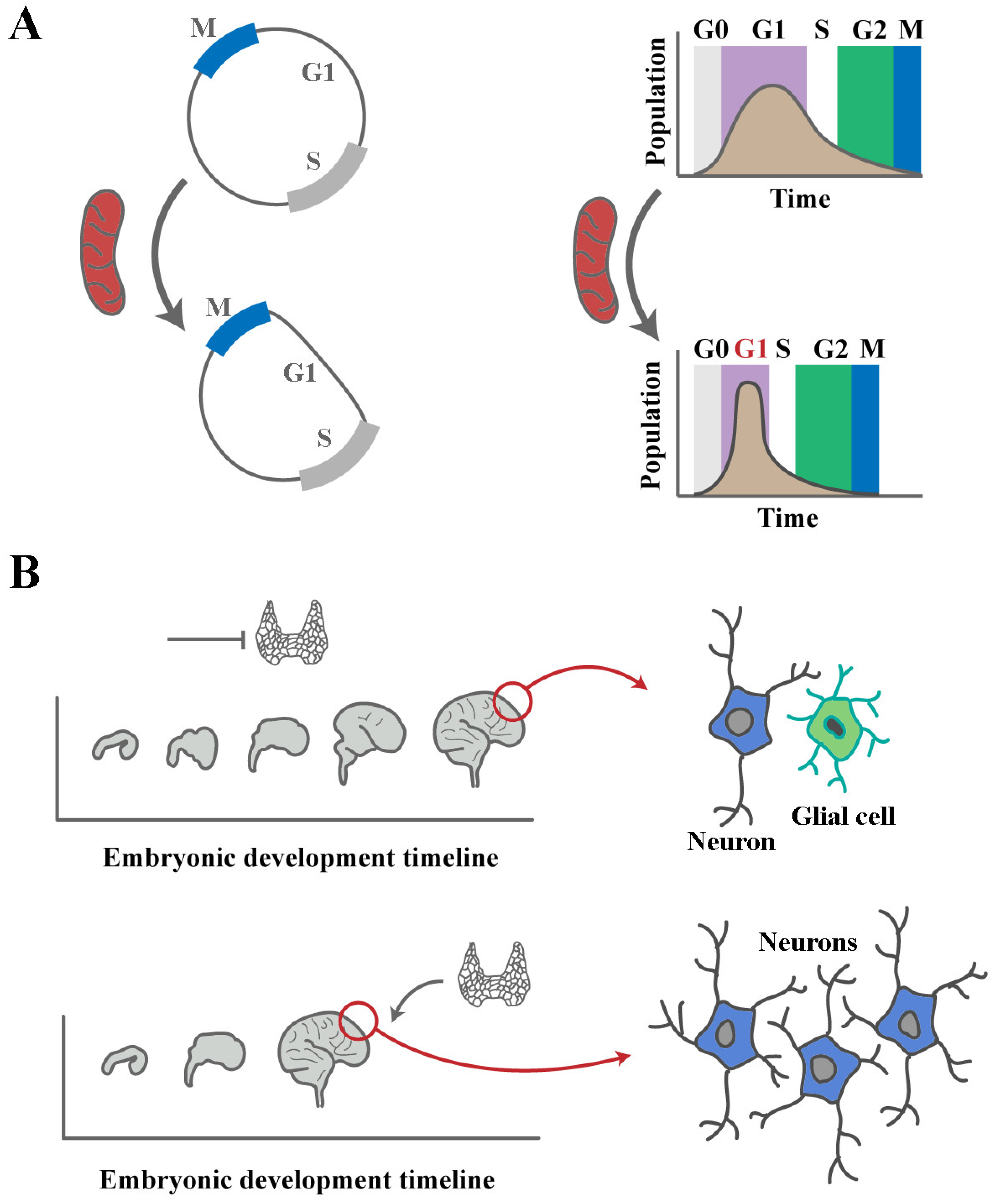 Preprints 145657 g003