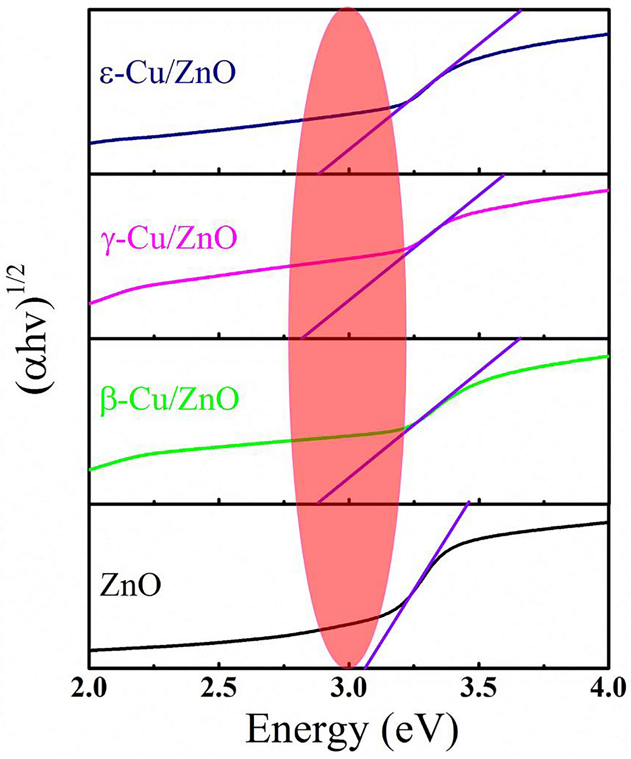 Preprints 143845 g008