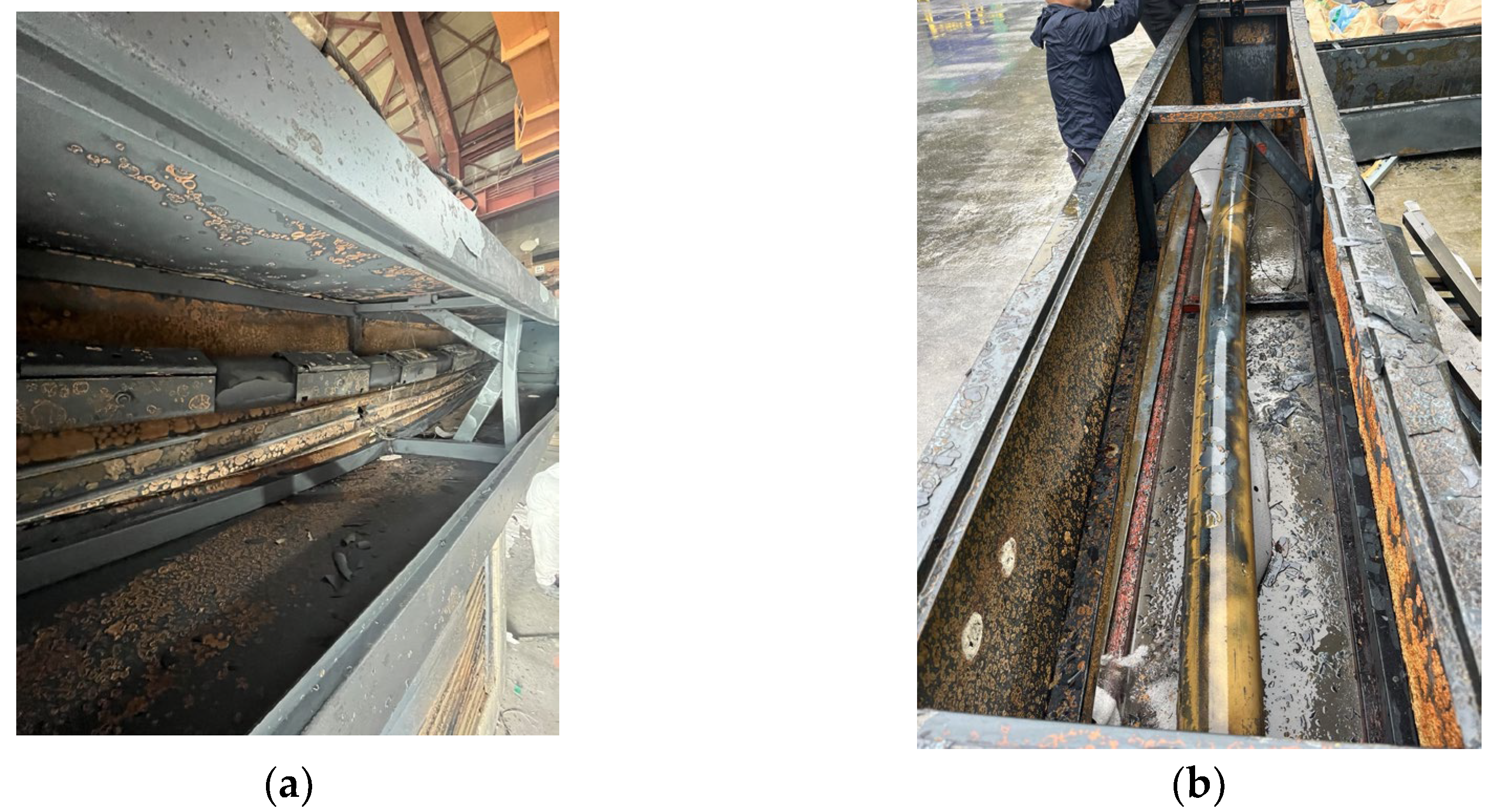 Preprints 162281 g005