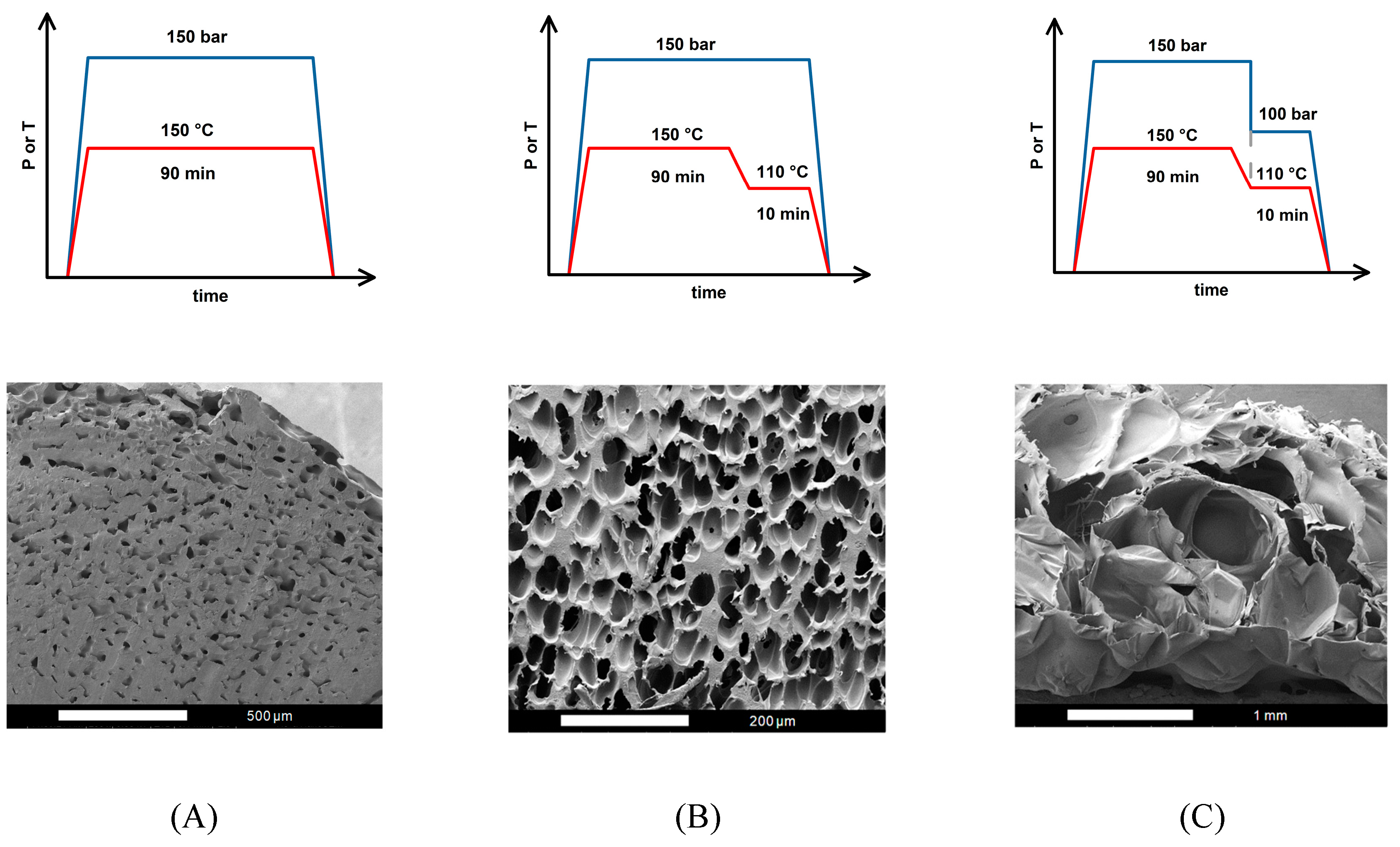 Preprints 154134 g001