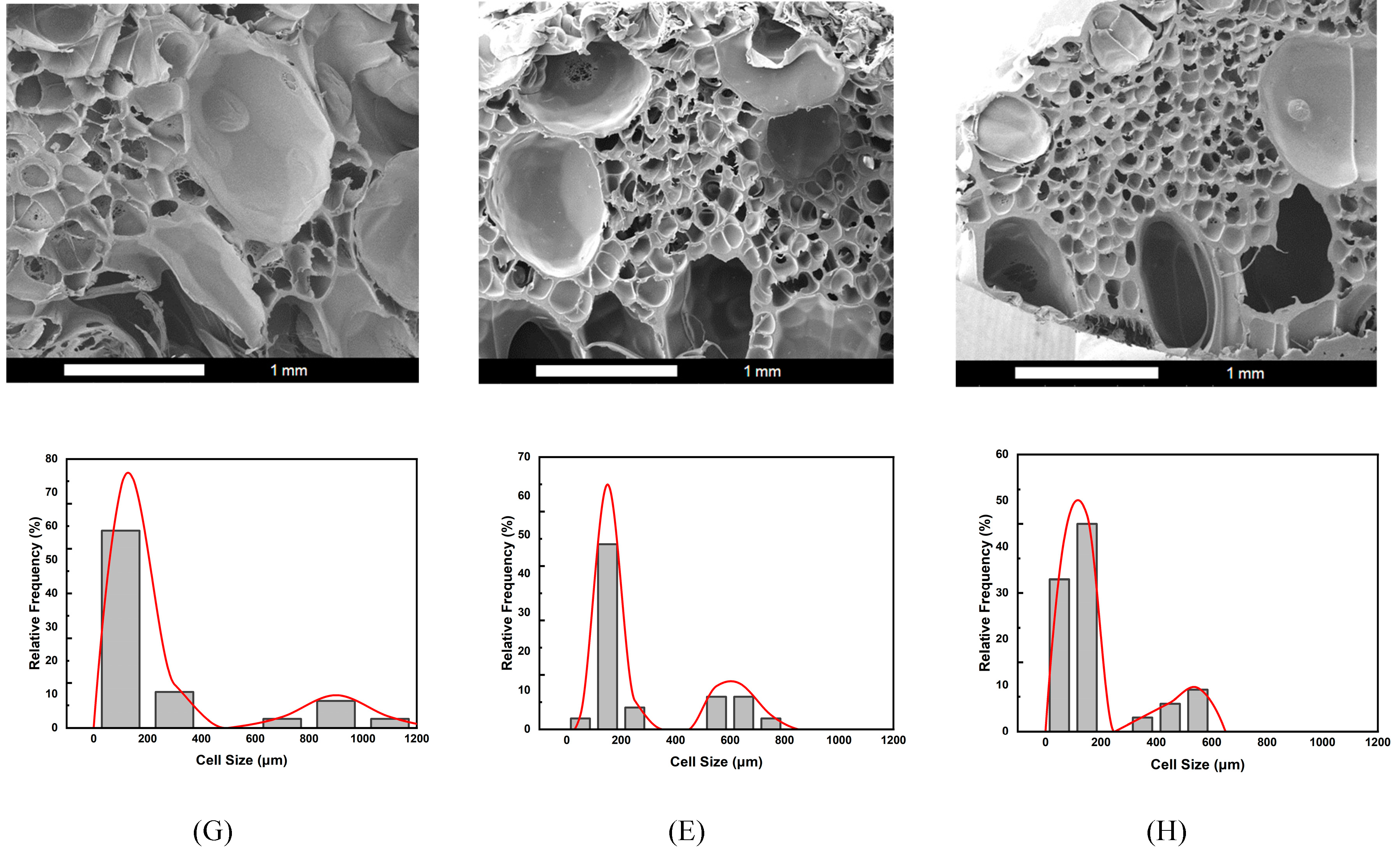Preprints 154134 g006
