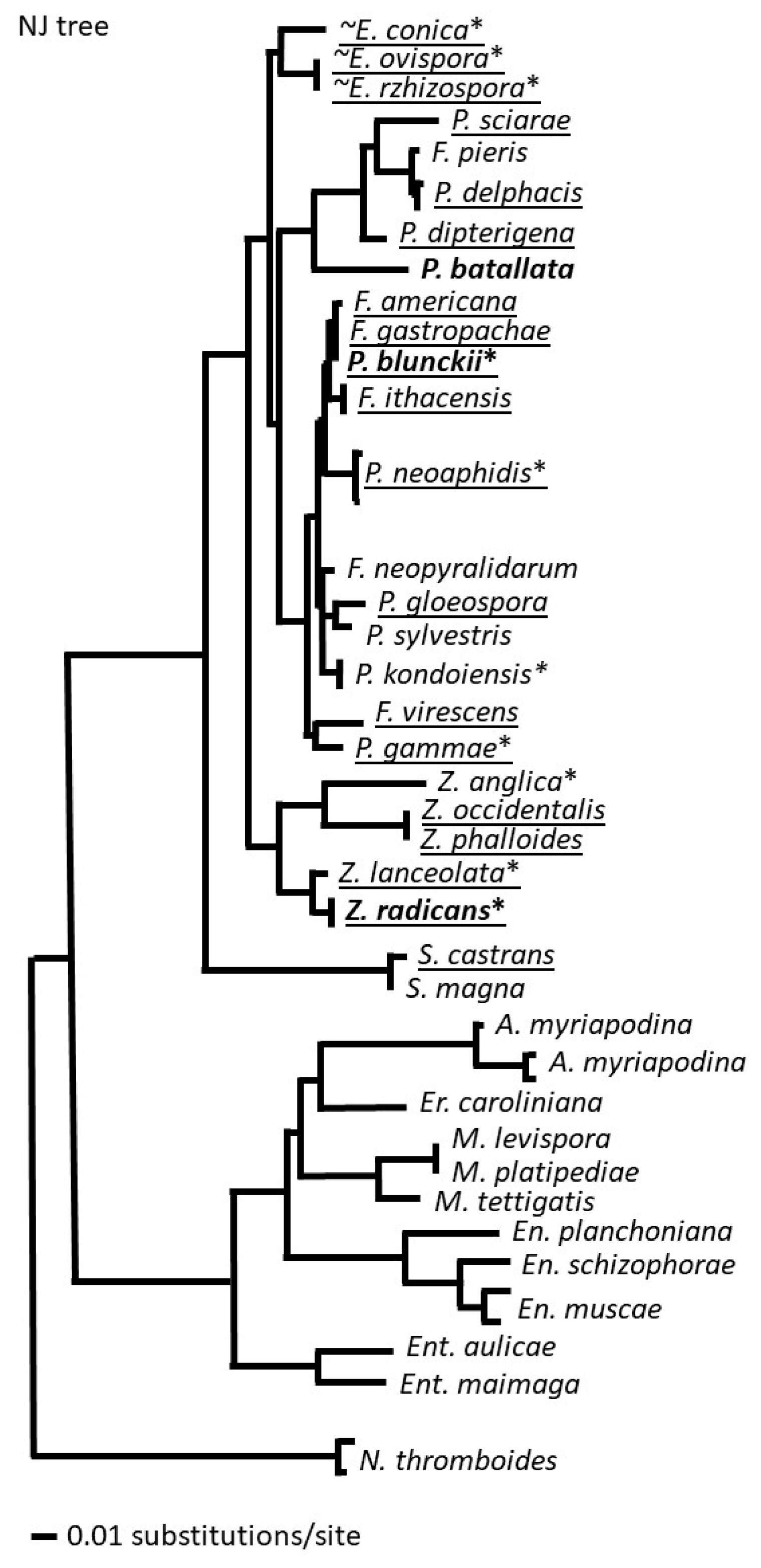 Preprints 93003 g002