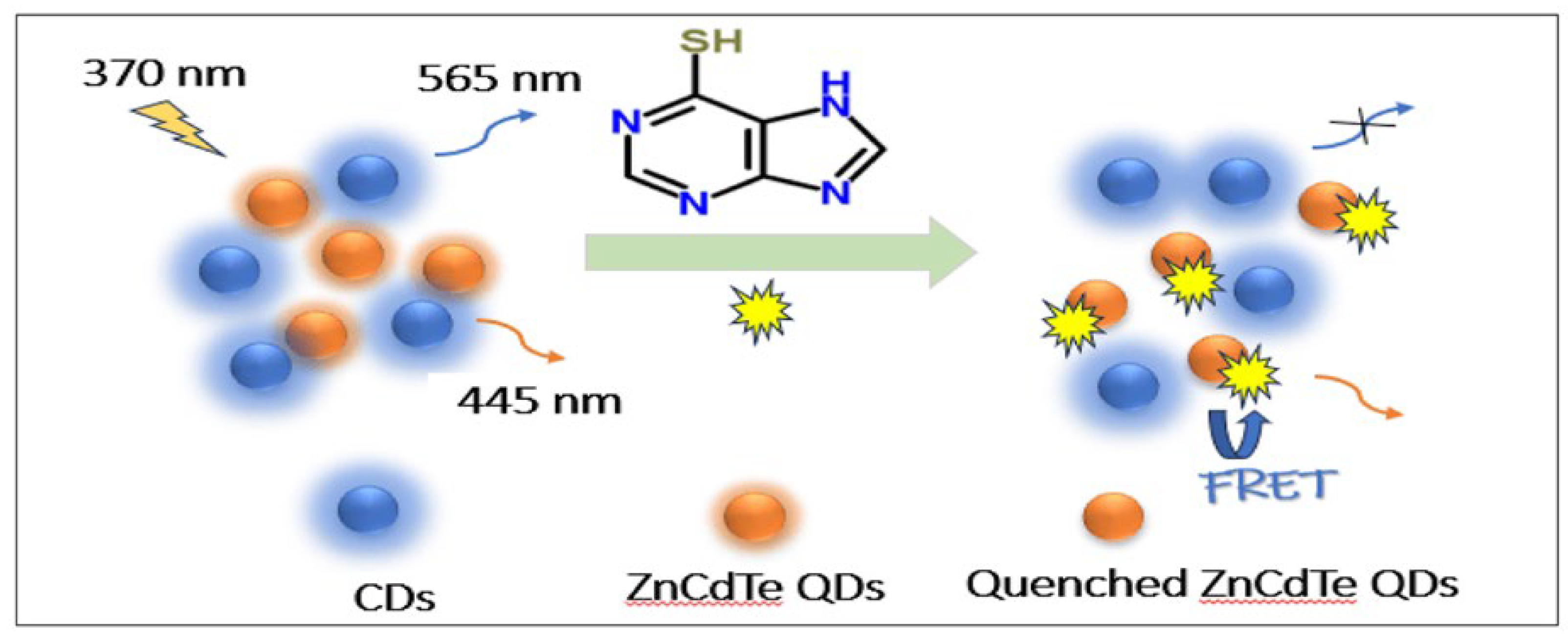 Preprints 197007 g011