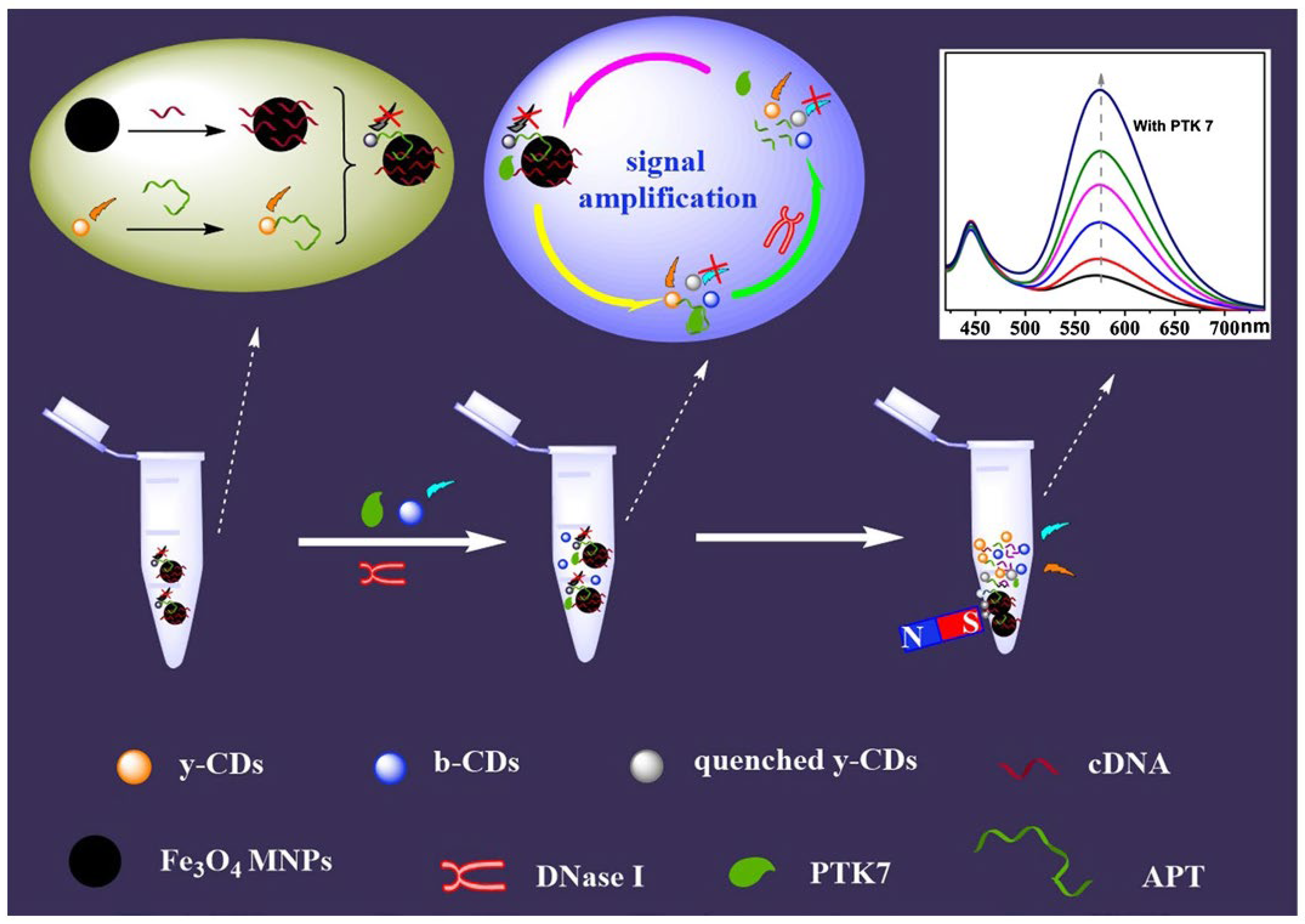 Preprints 197007 g012