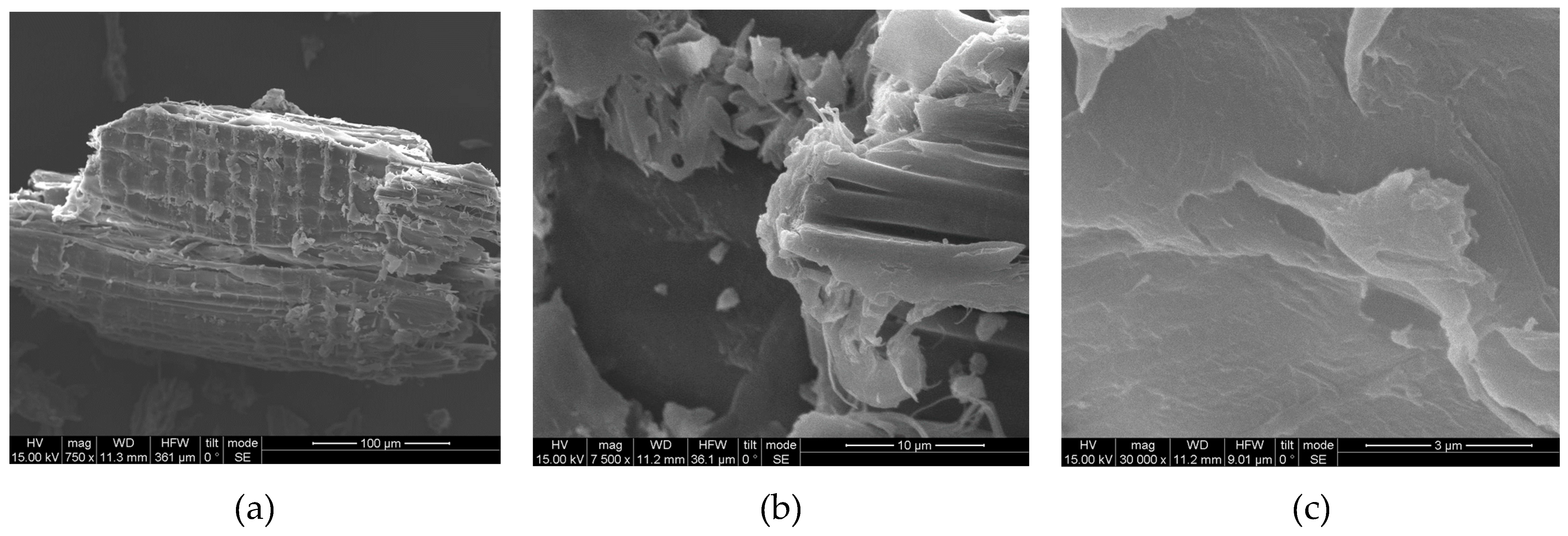 Preprints 114136 g017