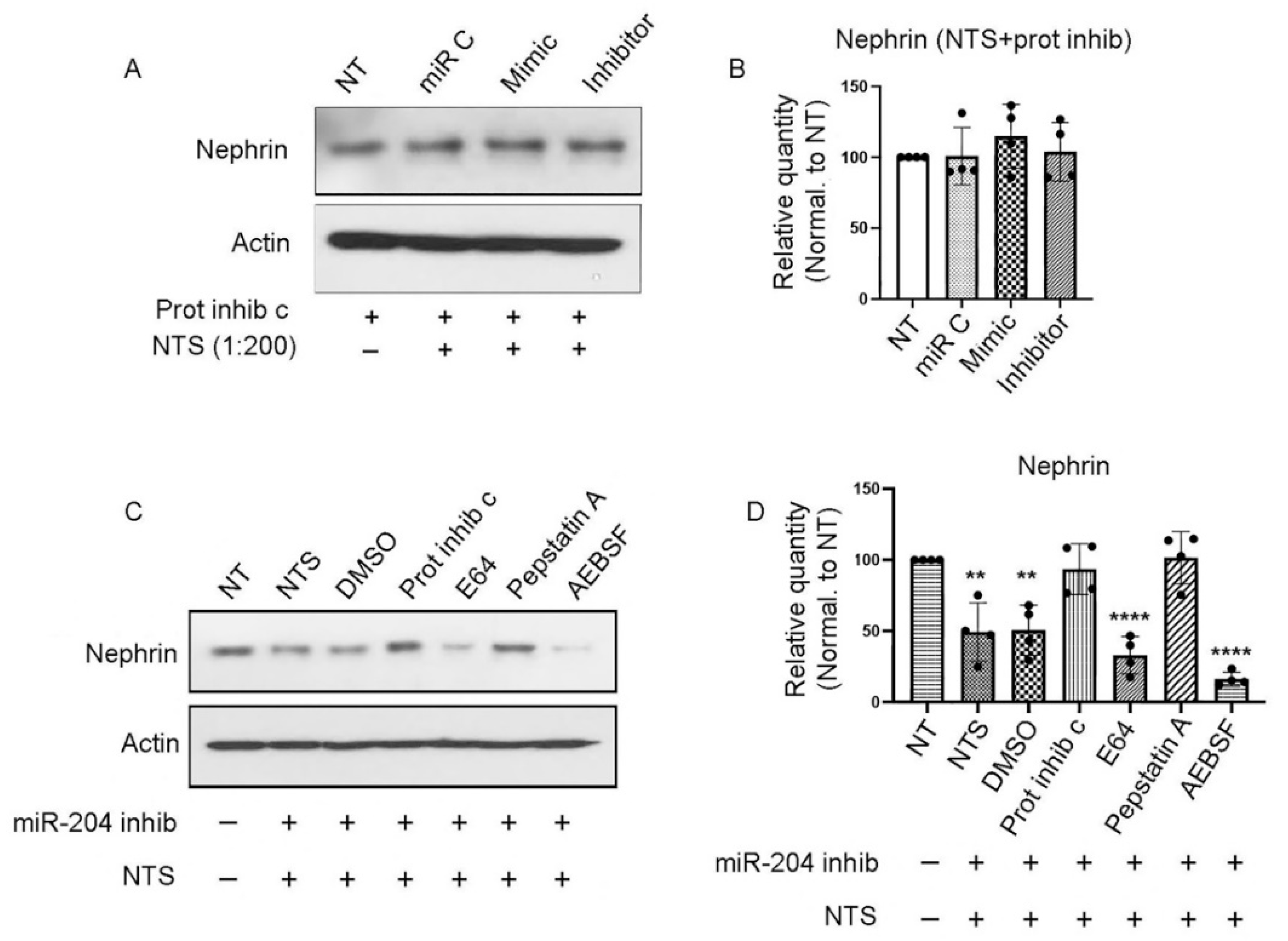 Preprints 147700 g002
