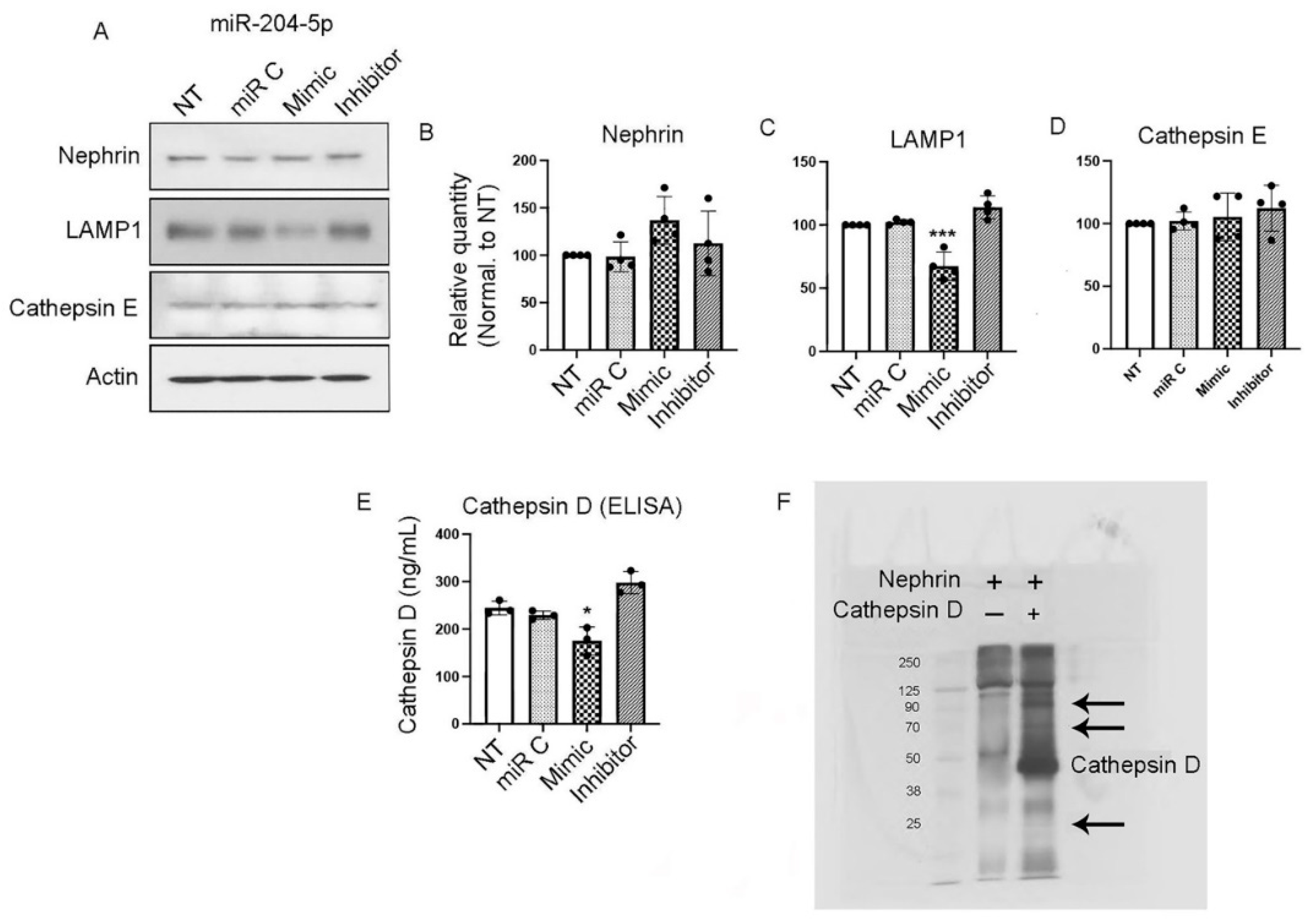 Preprints 147700 g003