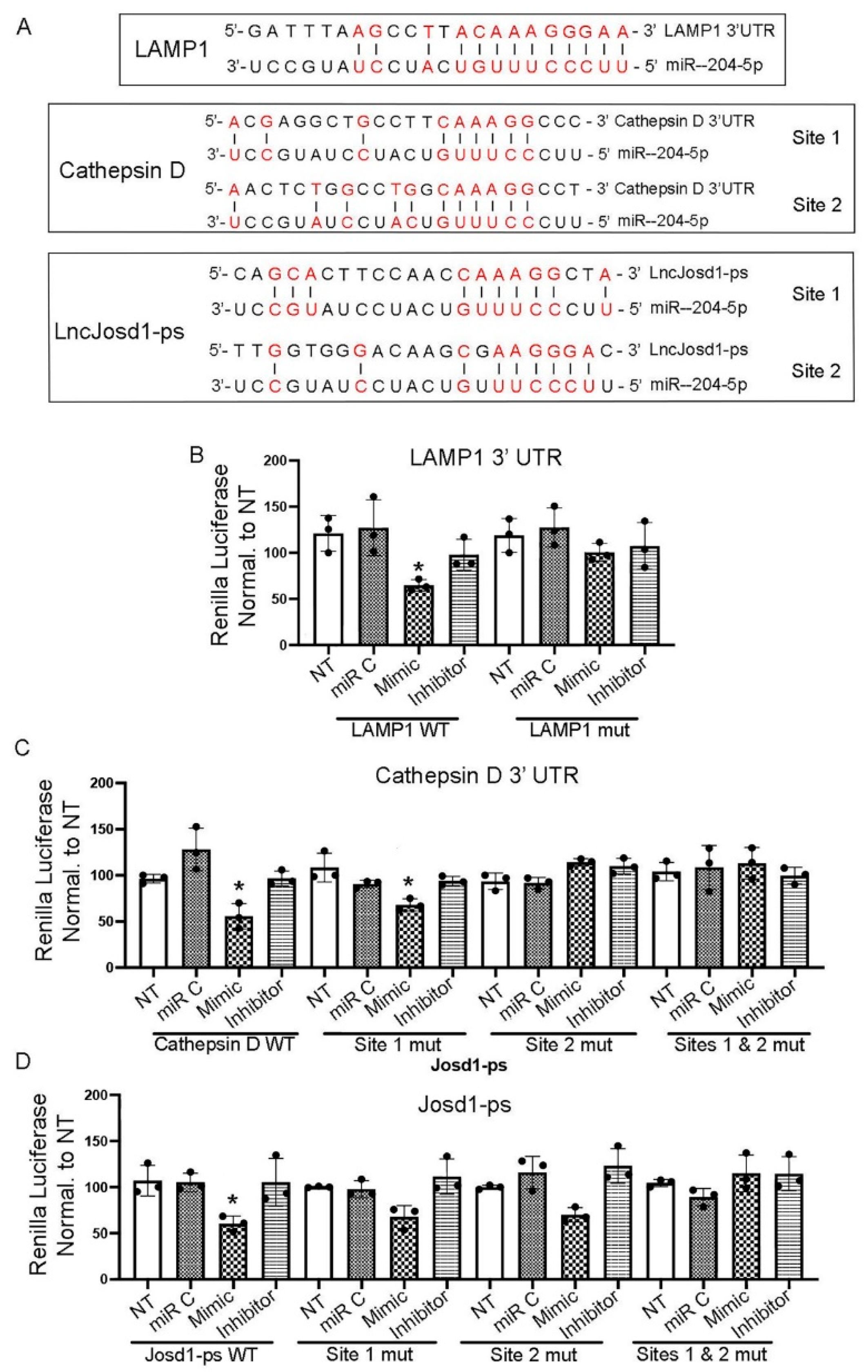 Preprints 147700 g005